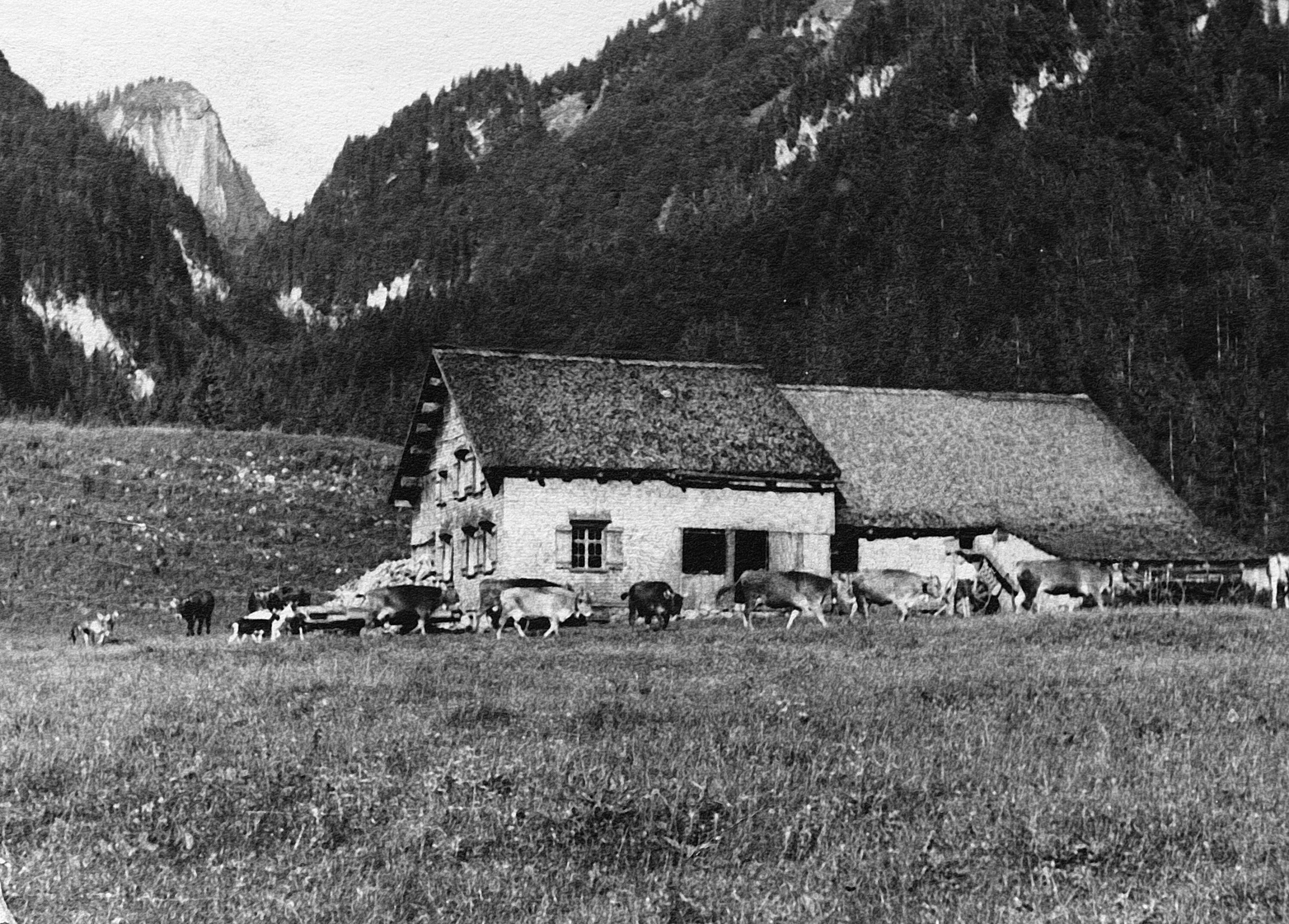 Alphütte Untere Auen></div>


    <hr>
    <div class=