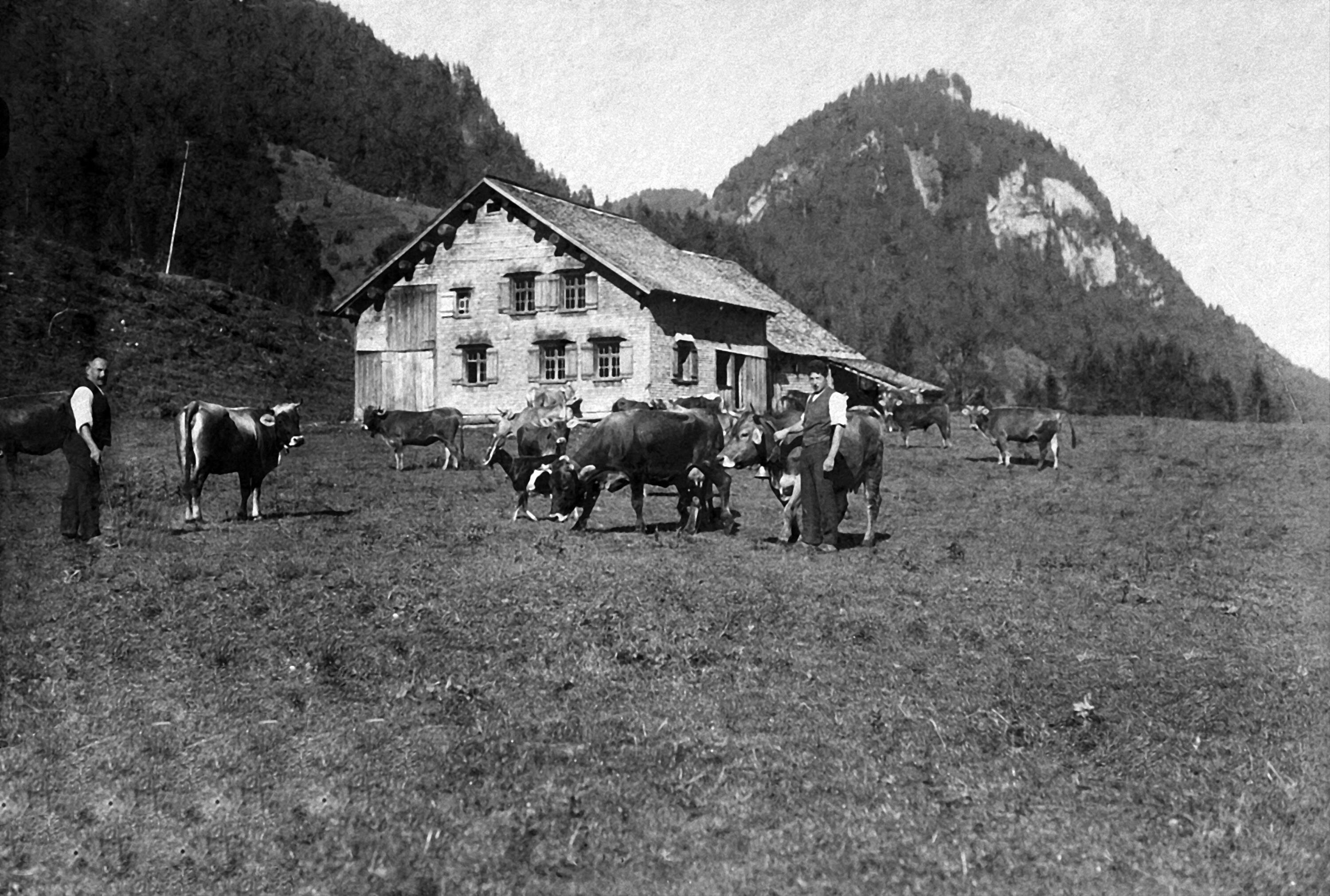 Alphütte Untere Auen></div>


    <hr>
    <div class=