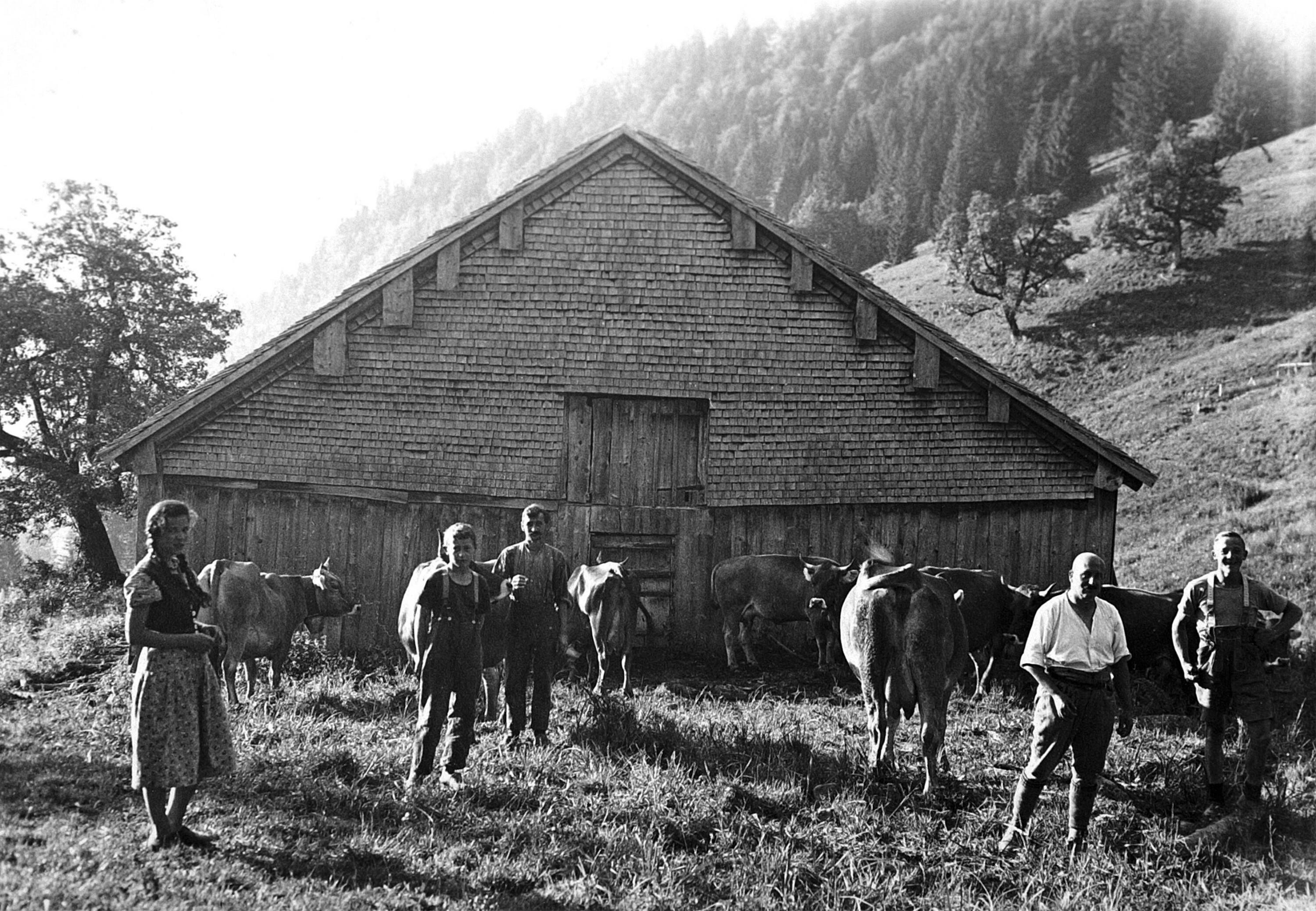 Obere Hütte der Alpe Am Gopf></div>


    <hr>
    <div class=