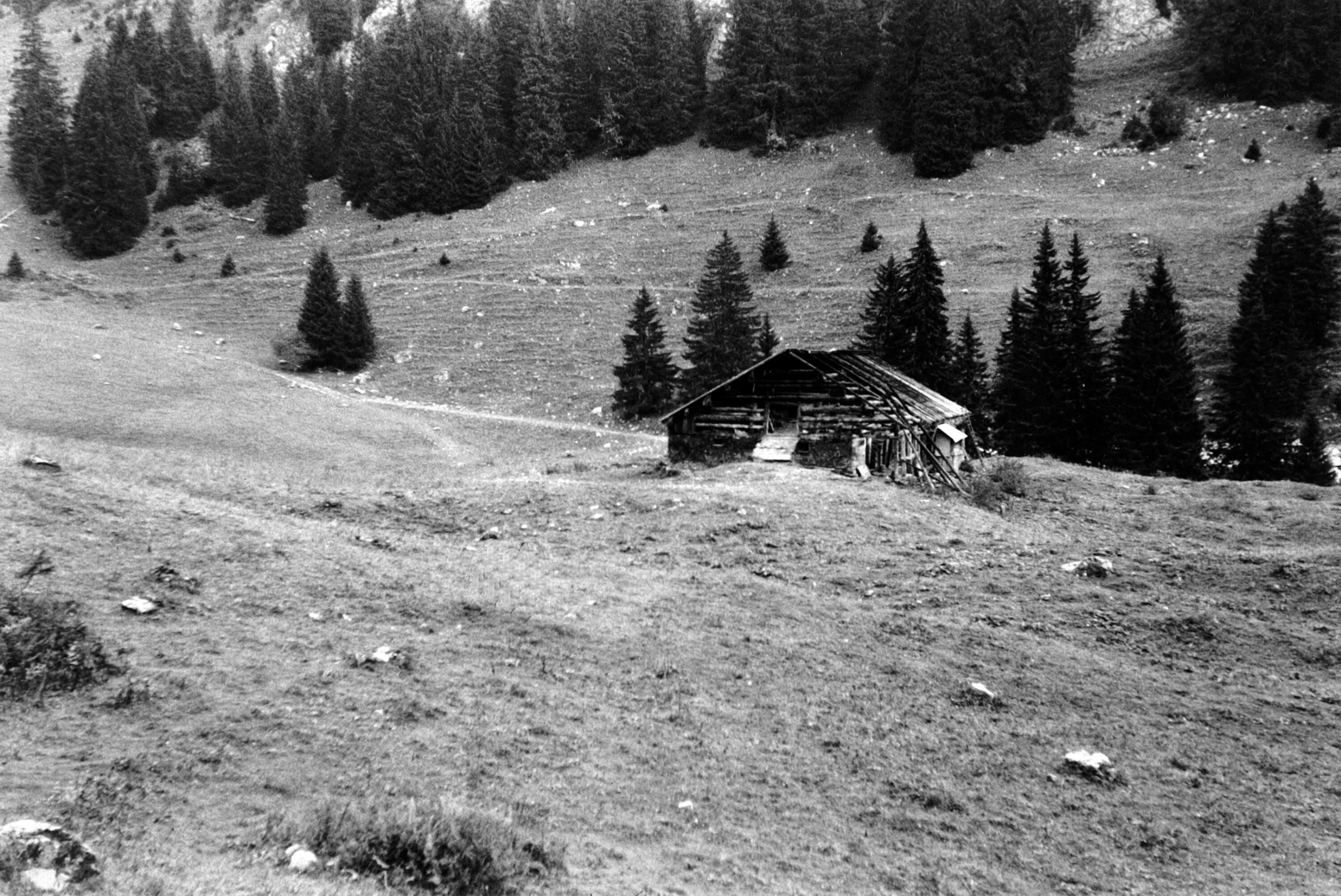 Alphütte Leopolds-Tobel></div>


    <hr>
    <div class=