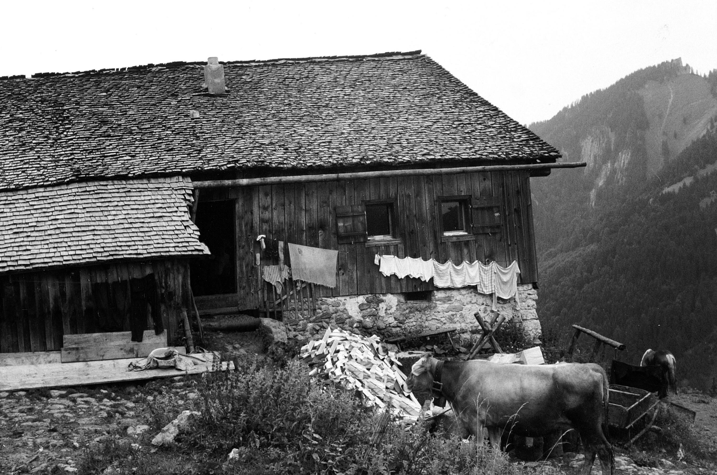 Alphütte Alpe Ulfern></div>


    <hr>
    <div class=