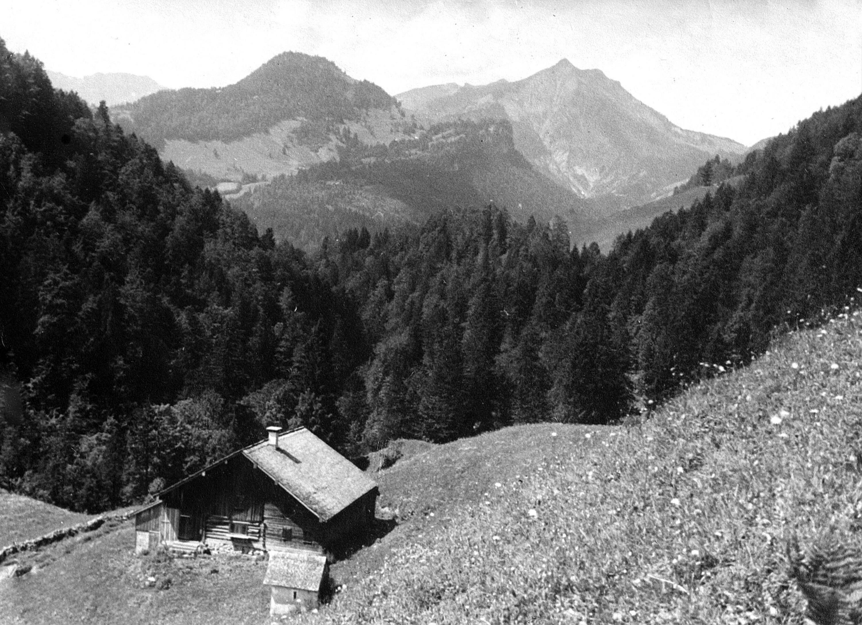 Alphütte Langenalp></div>


    <hr>
    <div class=