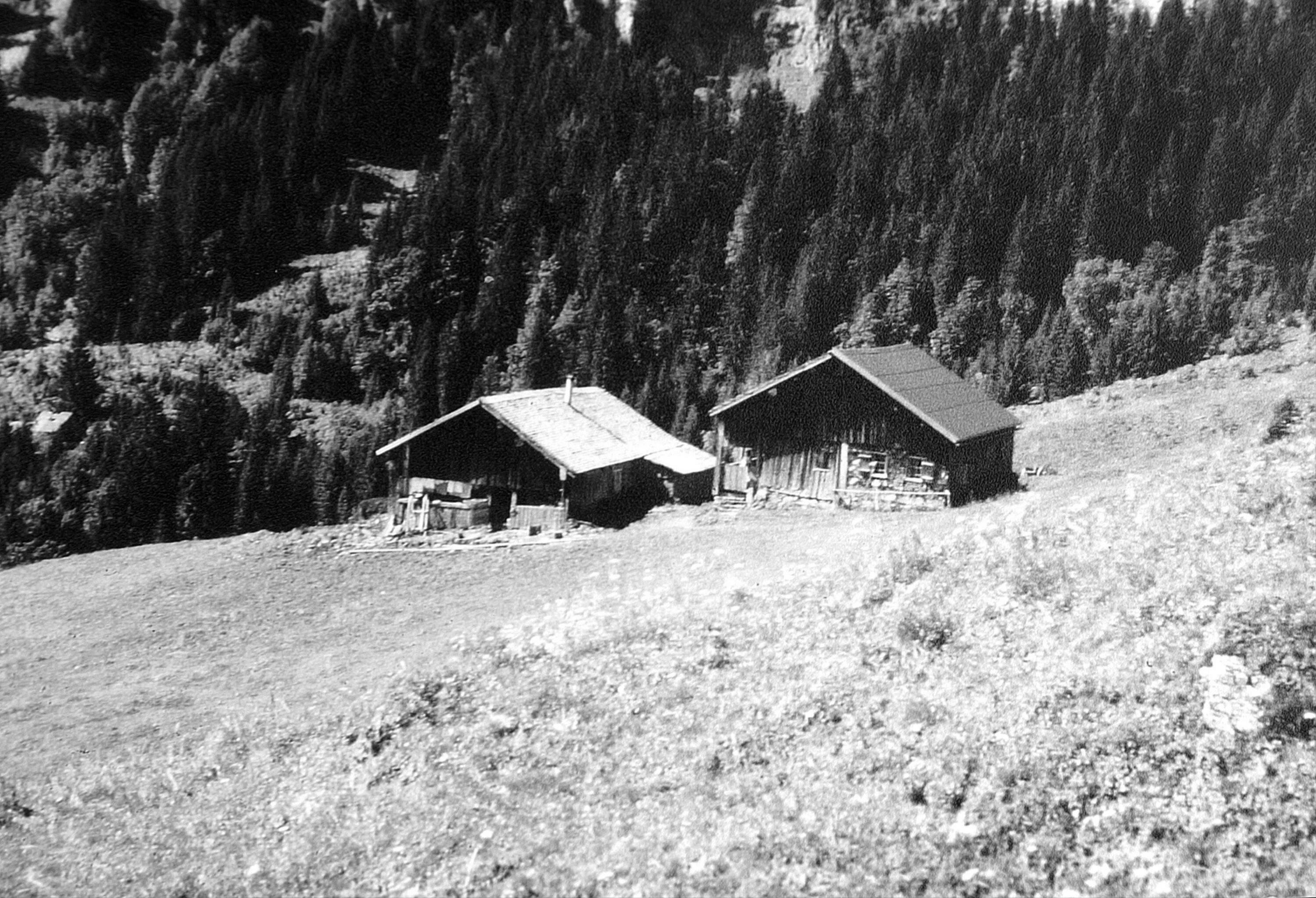 Alpe Oberwald></div>


    <hr>
    <div class=