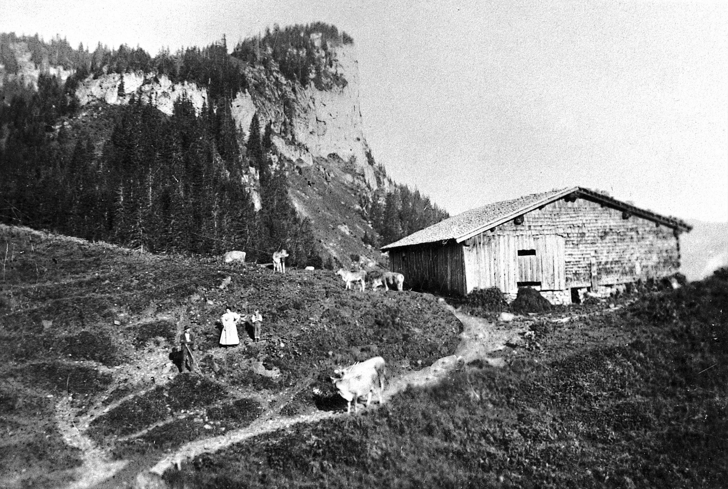 Alphütte Roßstelle></div>


    <hr>
    <div class=