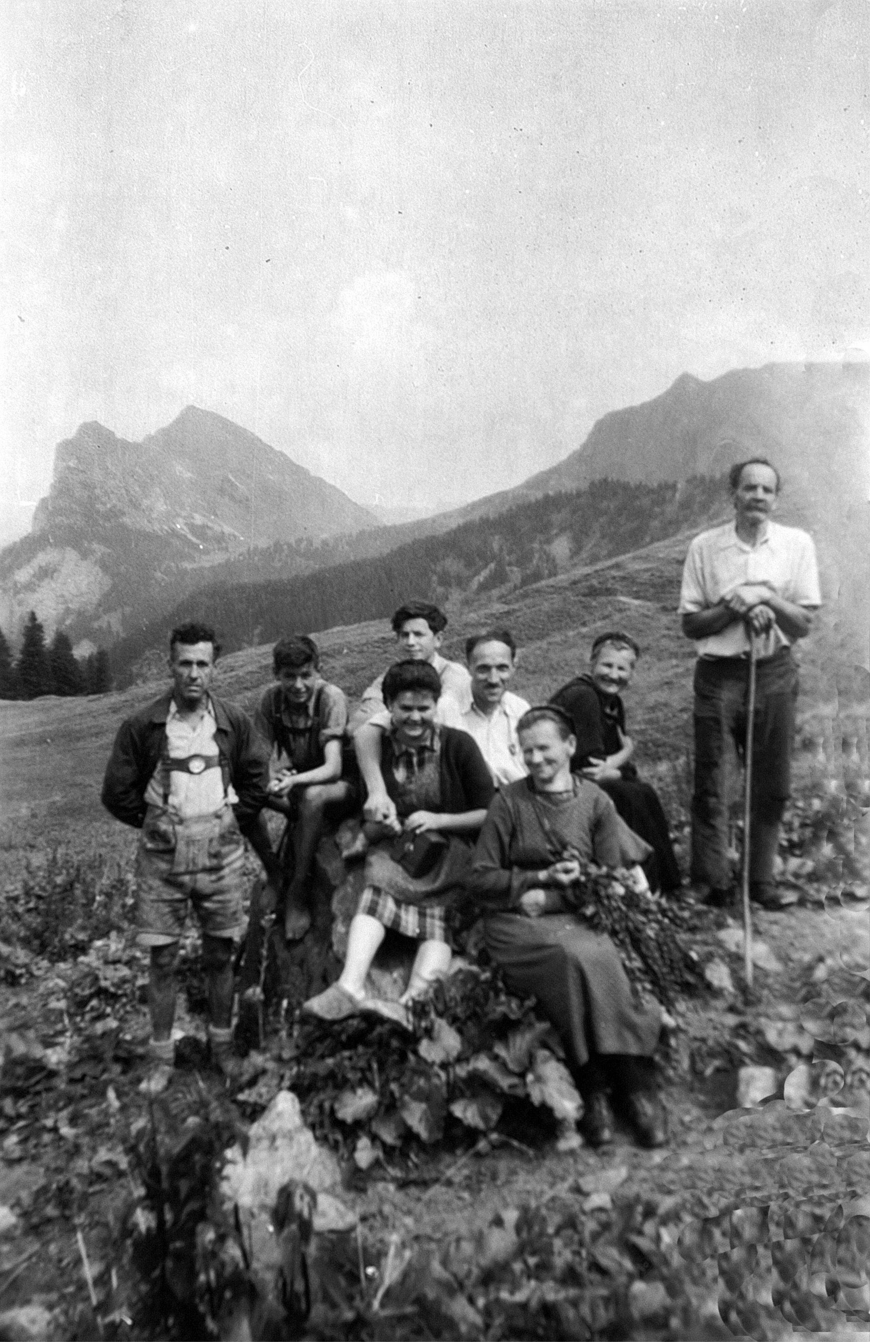 [Alphütte Wildgunten, Mellau]></div>


    <hr>
    <div class=