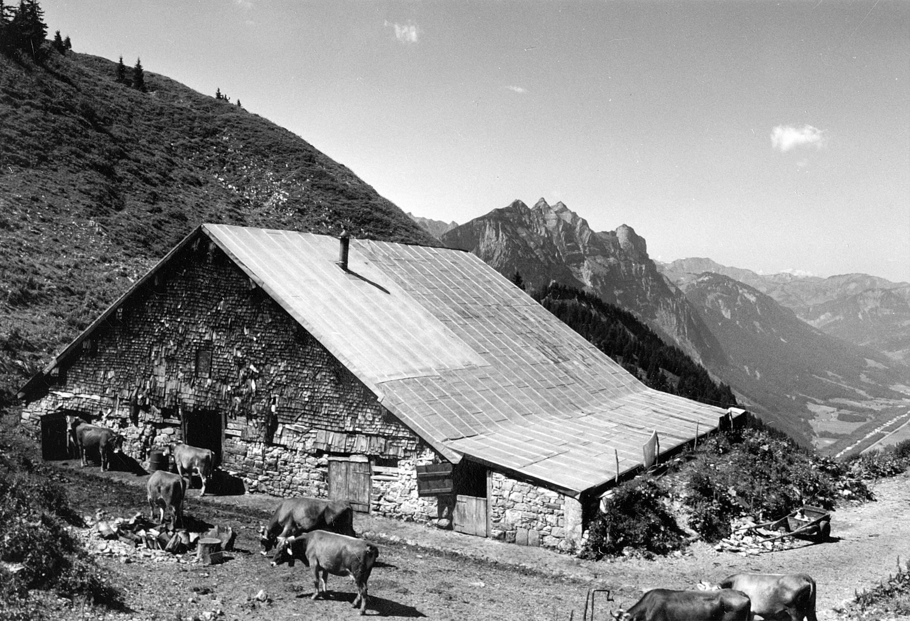 Alphütte Oberhirschberg></div>


    <hr>
    <div class=