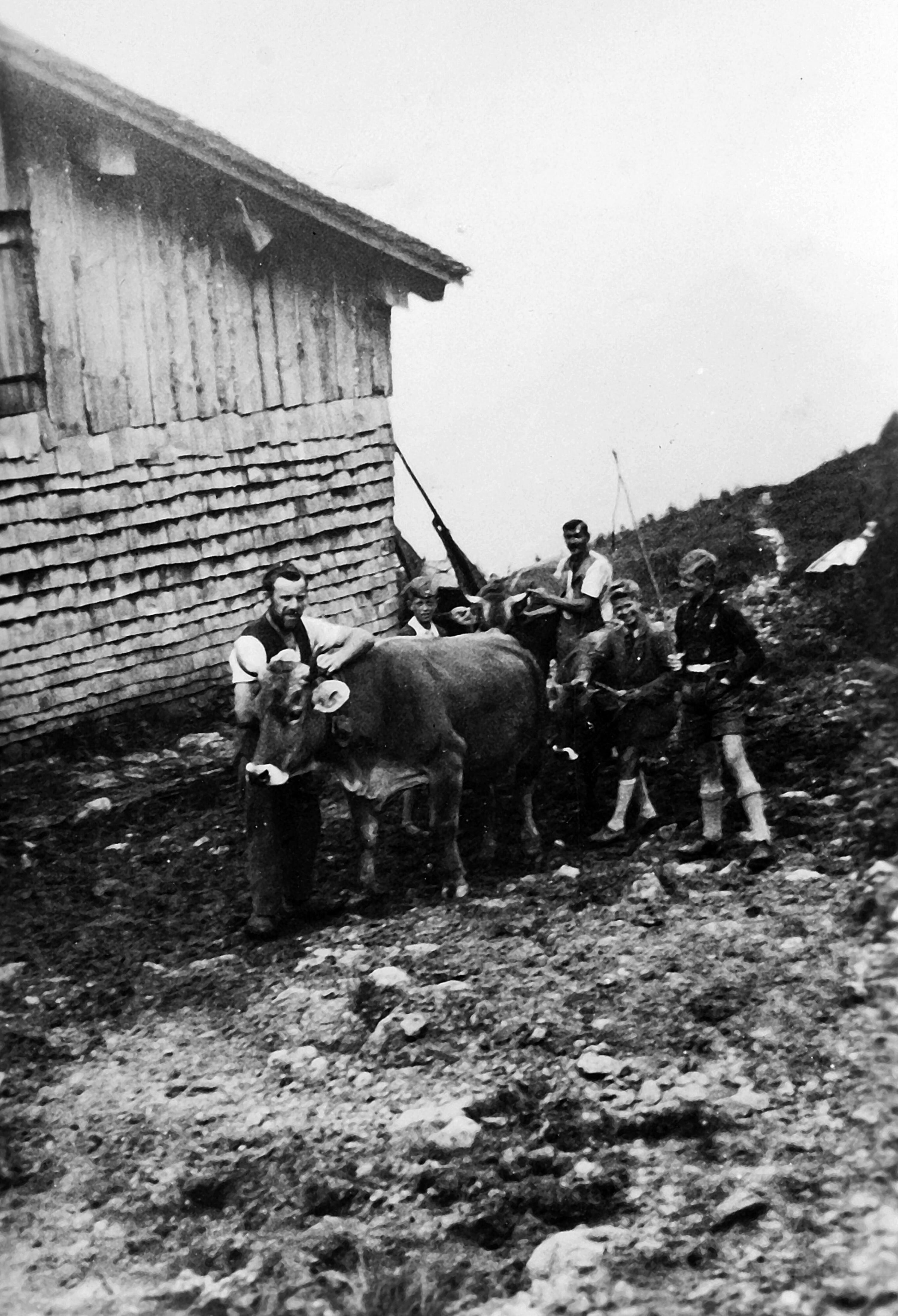 [Alphütte Unter Hirschberg, Schnepfau]></div>


    <hr>
    <div class=