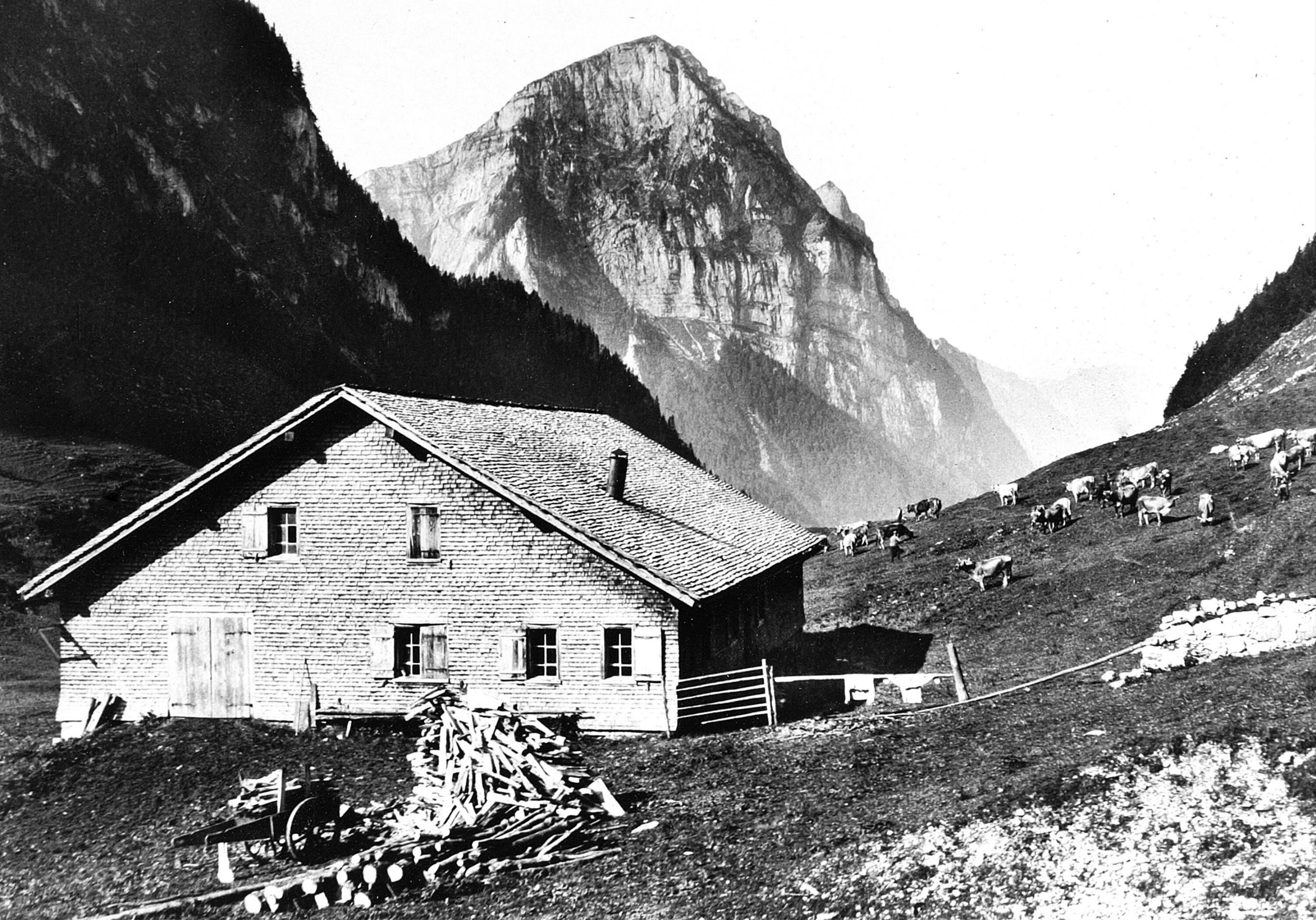 Alphütte Weißenbach mit Kanisfluh></div>


    <hr>
    <div class=