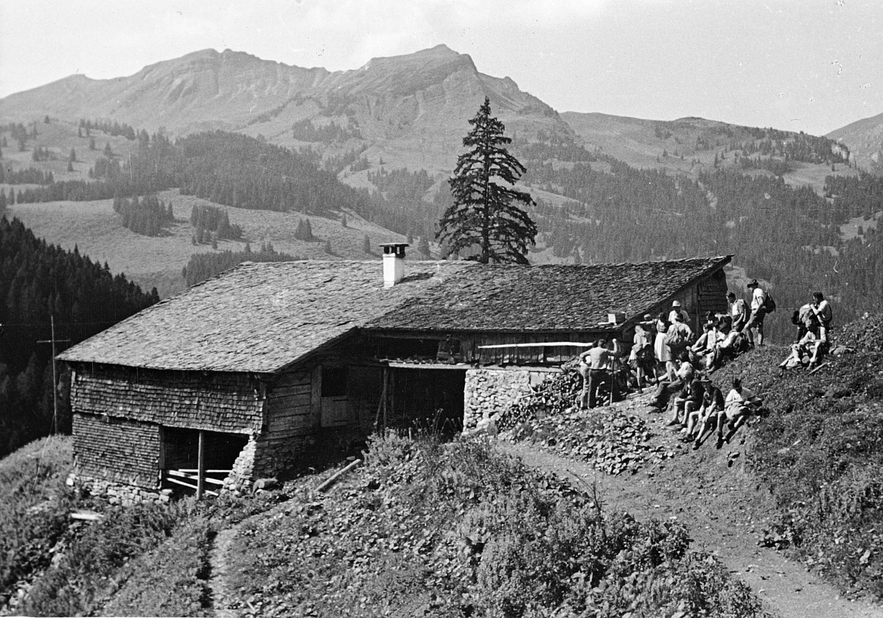 Alpe Schneeloch mit Alphütte></div>


    <hr>
    <div class=