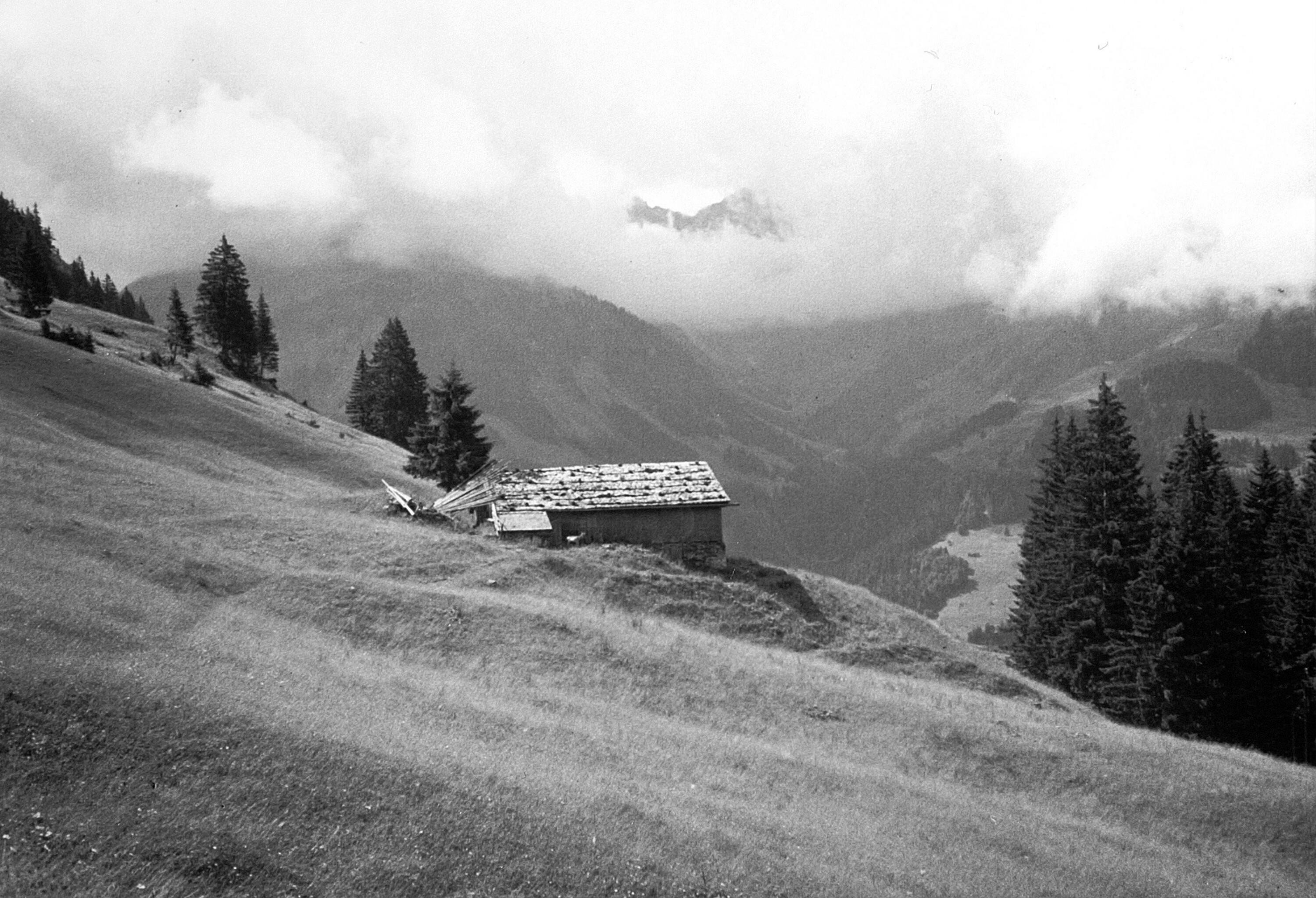 Untere Stoggenalpe mit Alphütte></div>


    <hr>
    <div class=