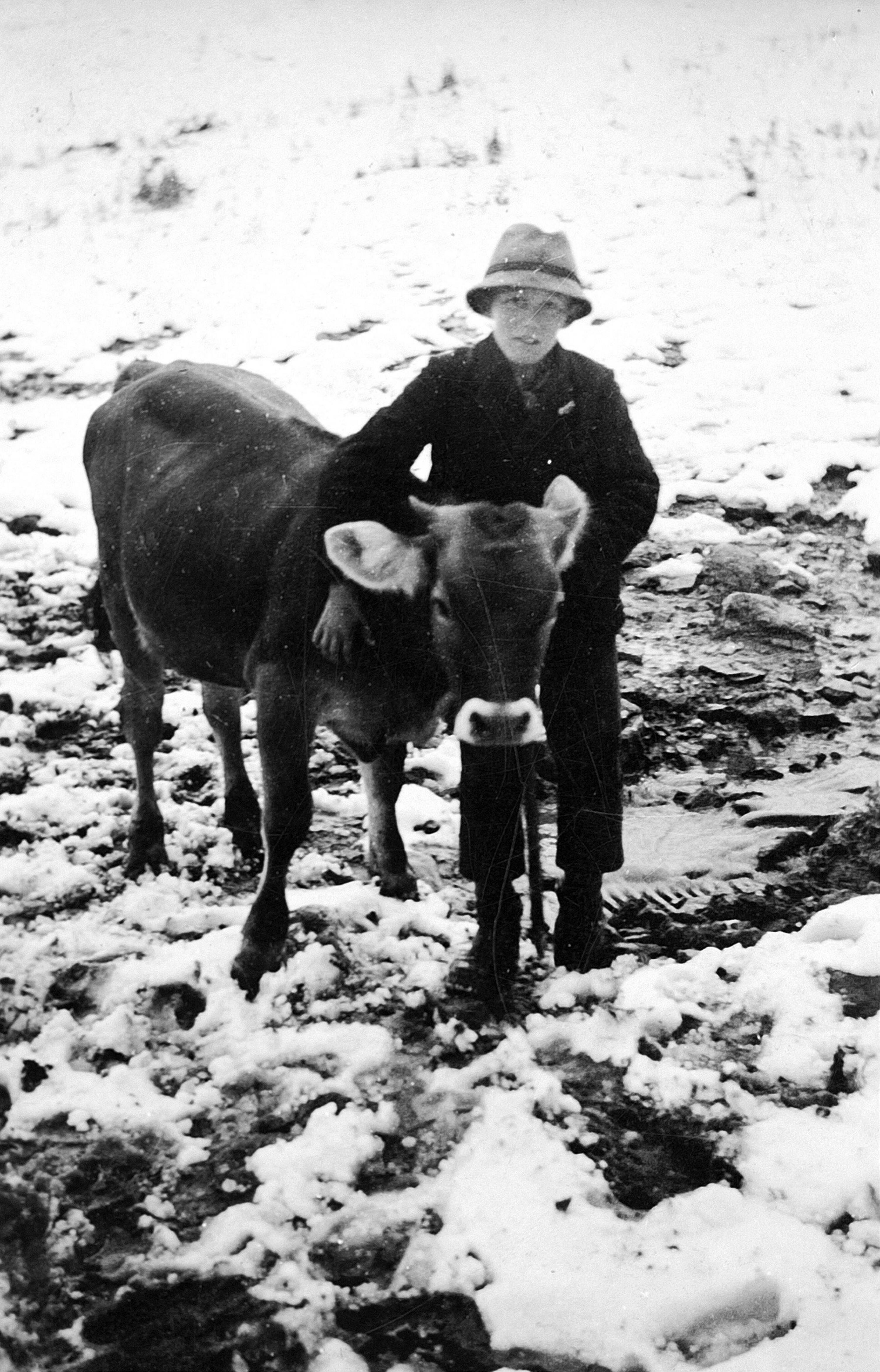 [Alpe Breitenalp, Schoppernau]></div>


    <hr>
    <div class=