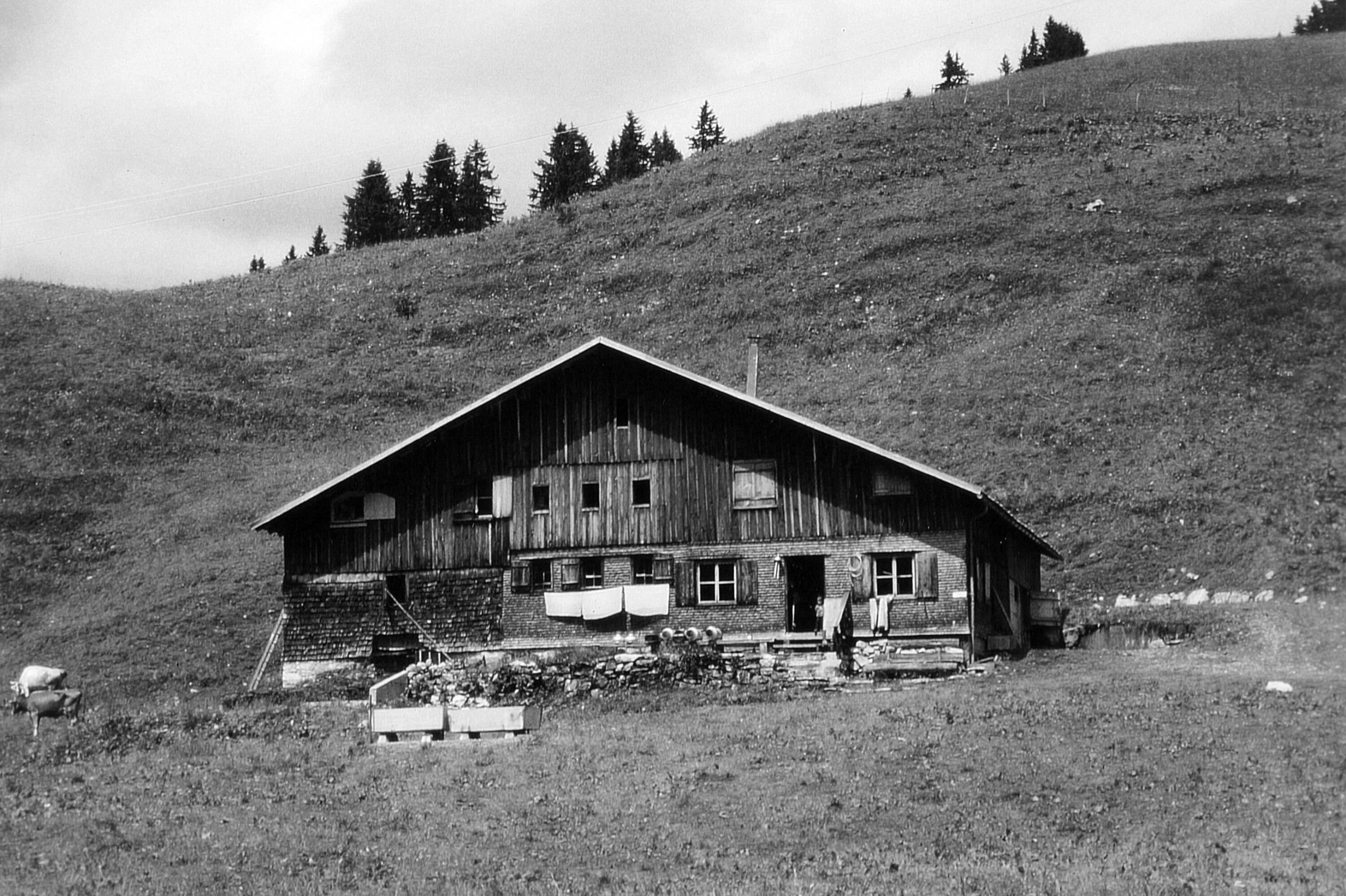 Hütte vom Schwarzenberger Älpele></div>


    <hr>
    <div class=