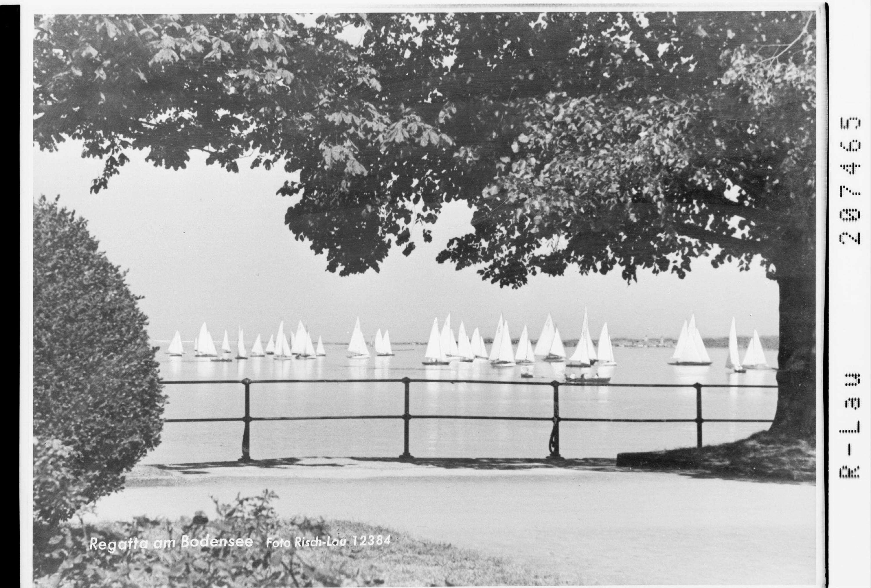 Regatta am Bodensee></div>


    <hr>
    <div class=