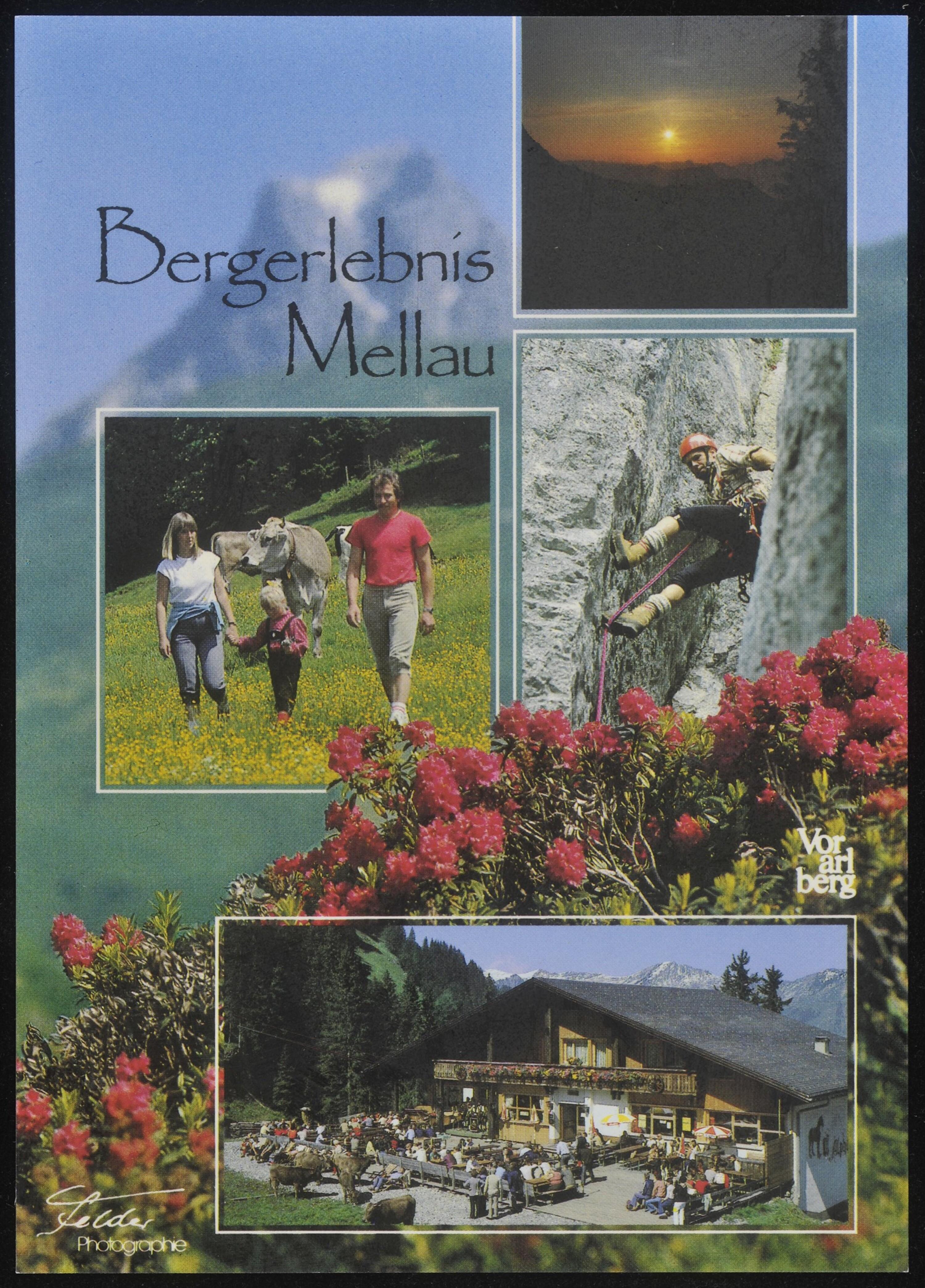 Bergerlebnis Mellau Vorarlberg></div>


    <hr>
    <div class=