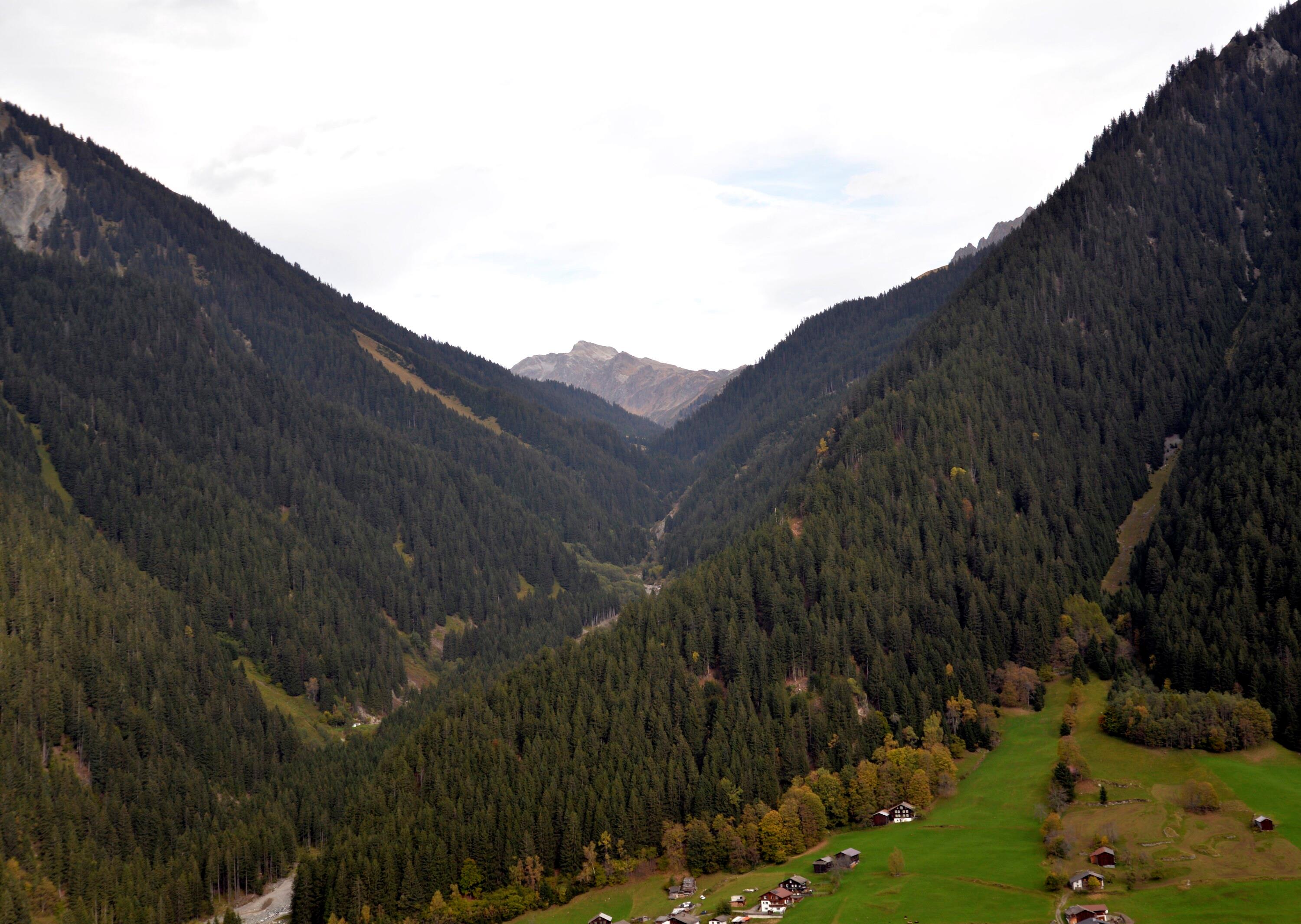 [Gaschurn - Valschavieltal, Valschavielkopf]></div>


    <hr>
    <div class=