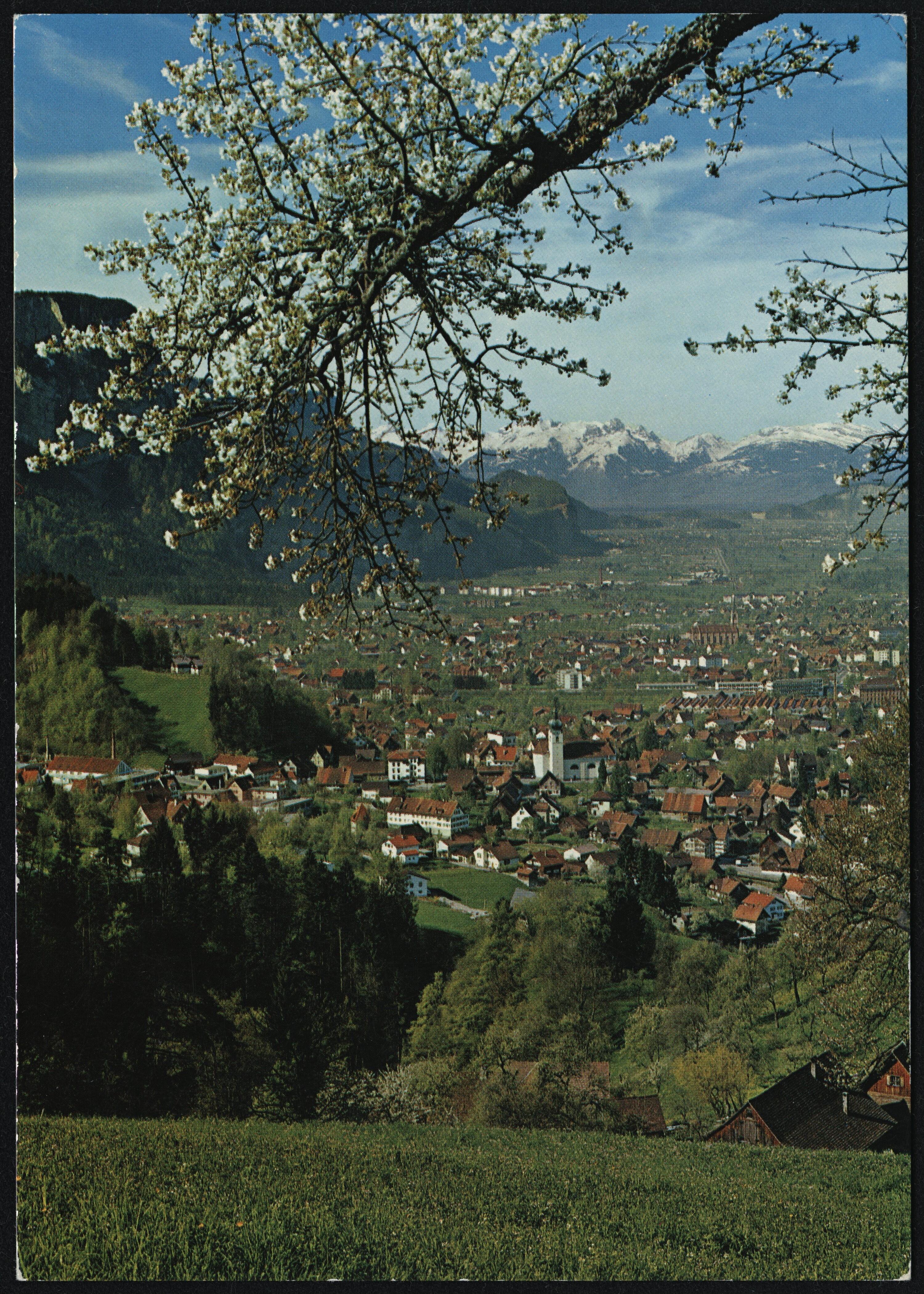 [Dornbirn]></div>


    <hr>
    <div class=