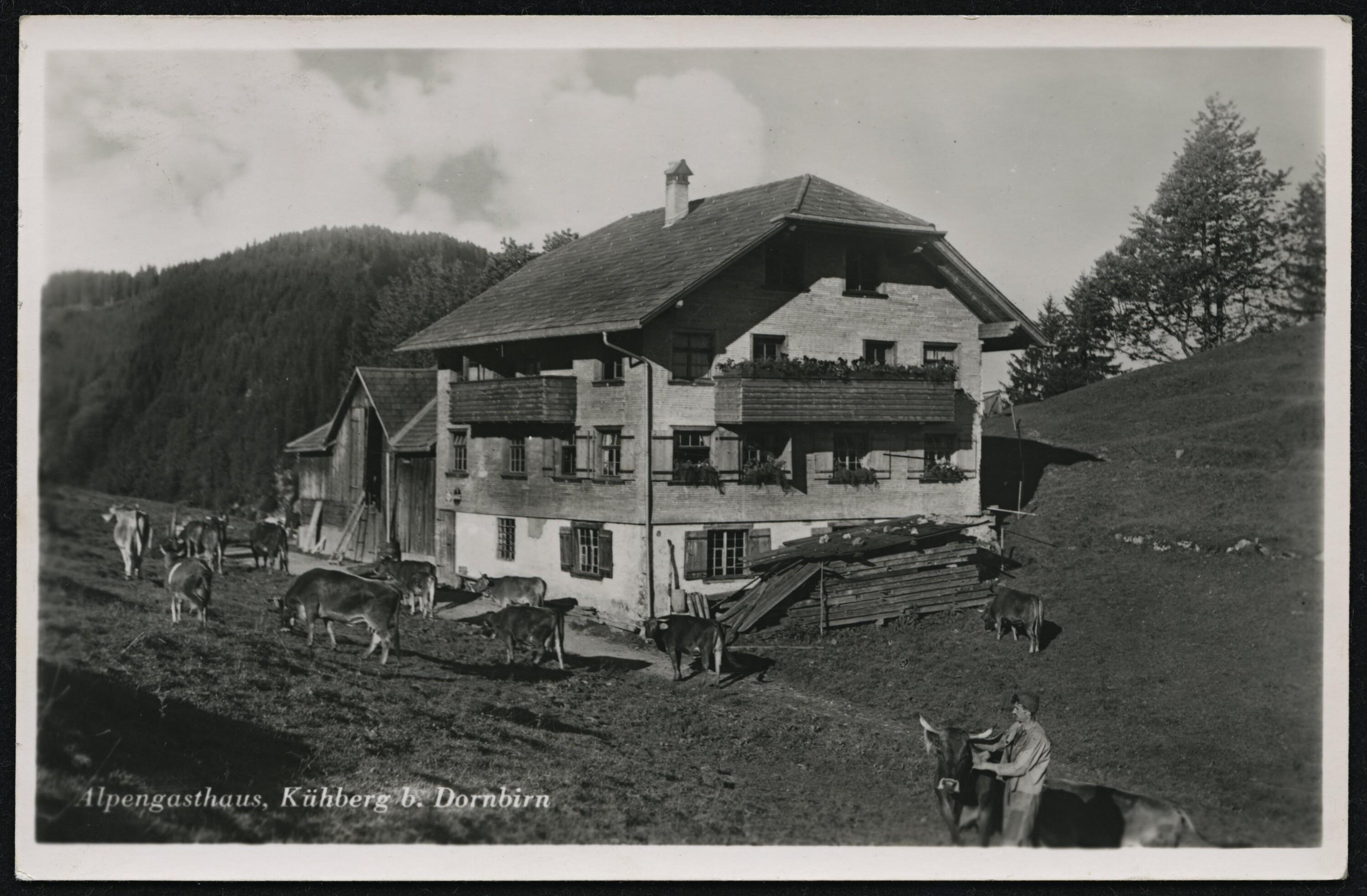 Alpengasthaus, Kühberg b. Dornbirn></div>


    <hr>
    <div class=