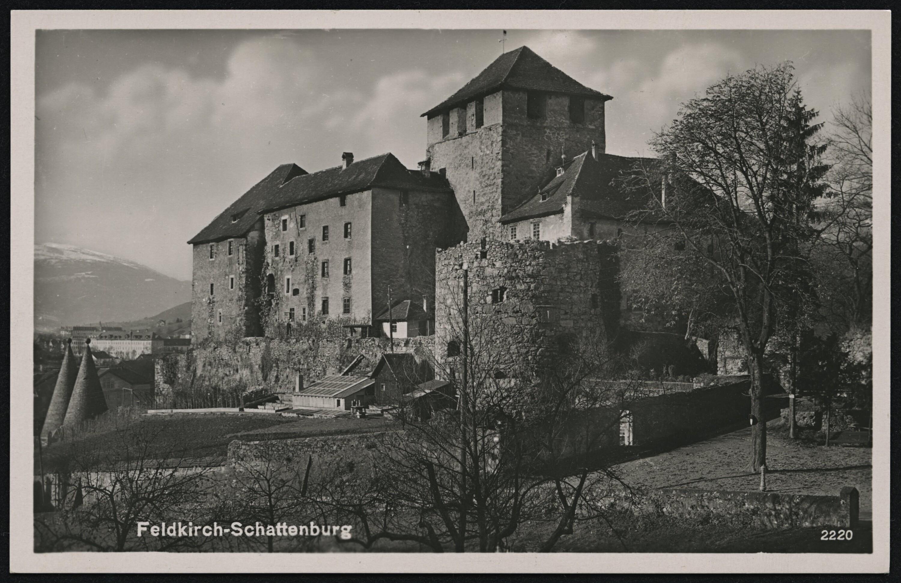 Feldkirch-Schattenburg></div>


    <hr>
    <div class=