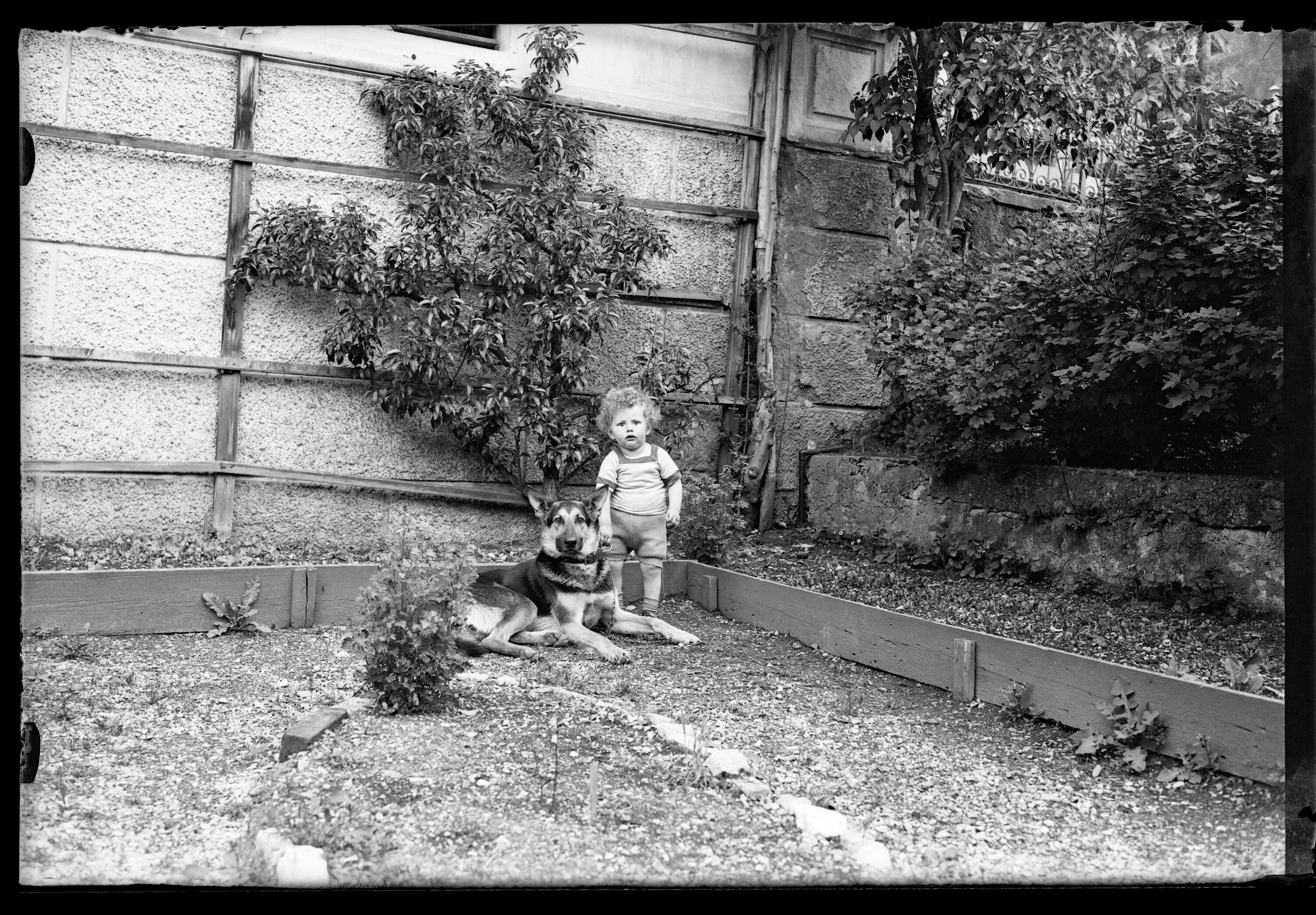 [Kleines Kind mit einem Hund vor einem Gebäude]></div>


    <hr>
    <div class=