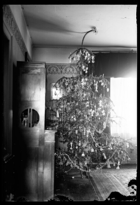 Aufnahme eines Christbaumes in einem Wohnzimmer / Josef Wilhelm Purtscher von Purtscher, Josef Wilhelm