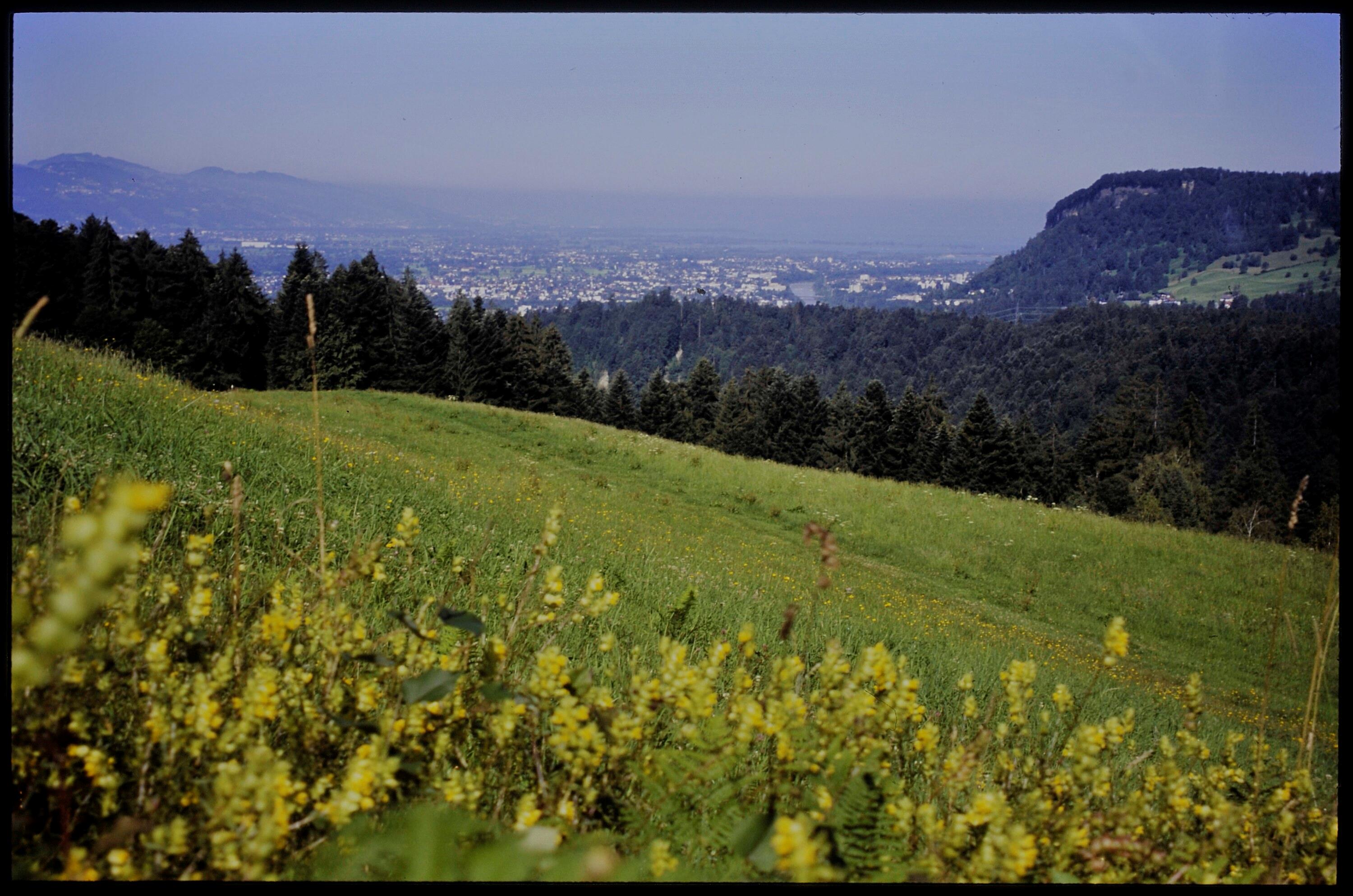 [Buch, Blick von Siegerhalden zum Bodensee]></div>


    <hr>
    <div class=