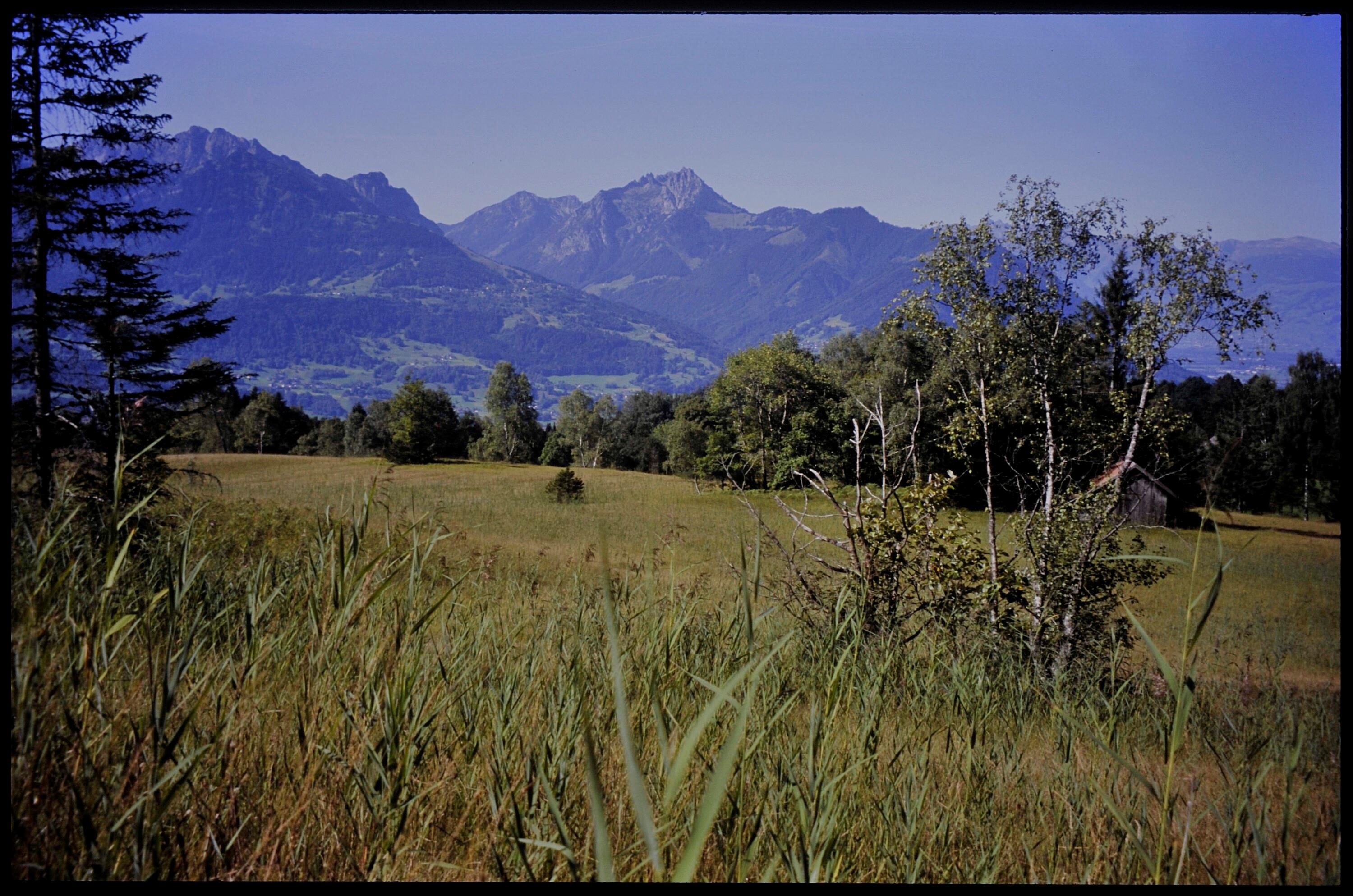 [Übersaxen, Hangmoor Tiefenbach]></div>


    <hr>
    <div class=