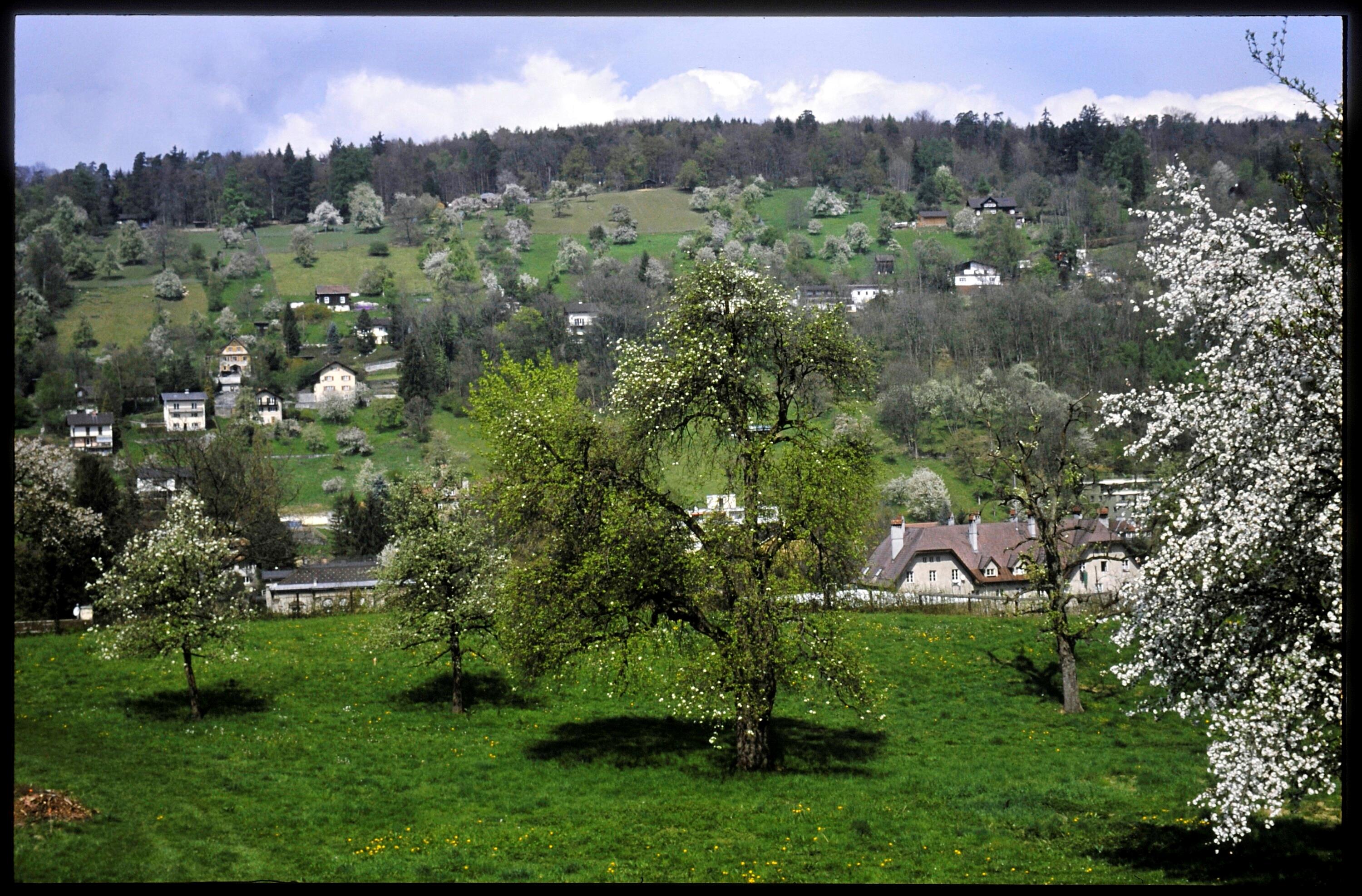 [Feldkirch, Ardetzenberg im Blick vom Elendbild]></div>


    <hr>
    <div class=