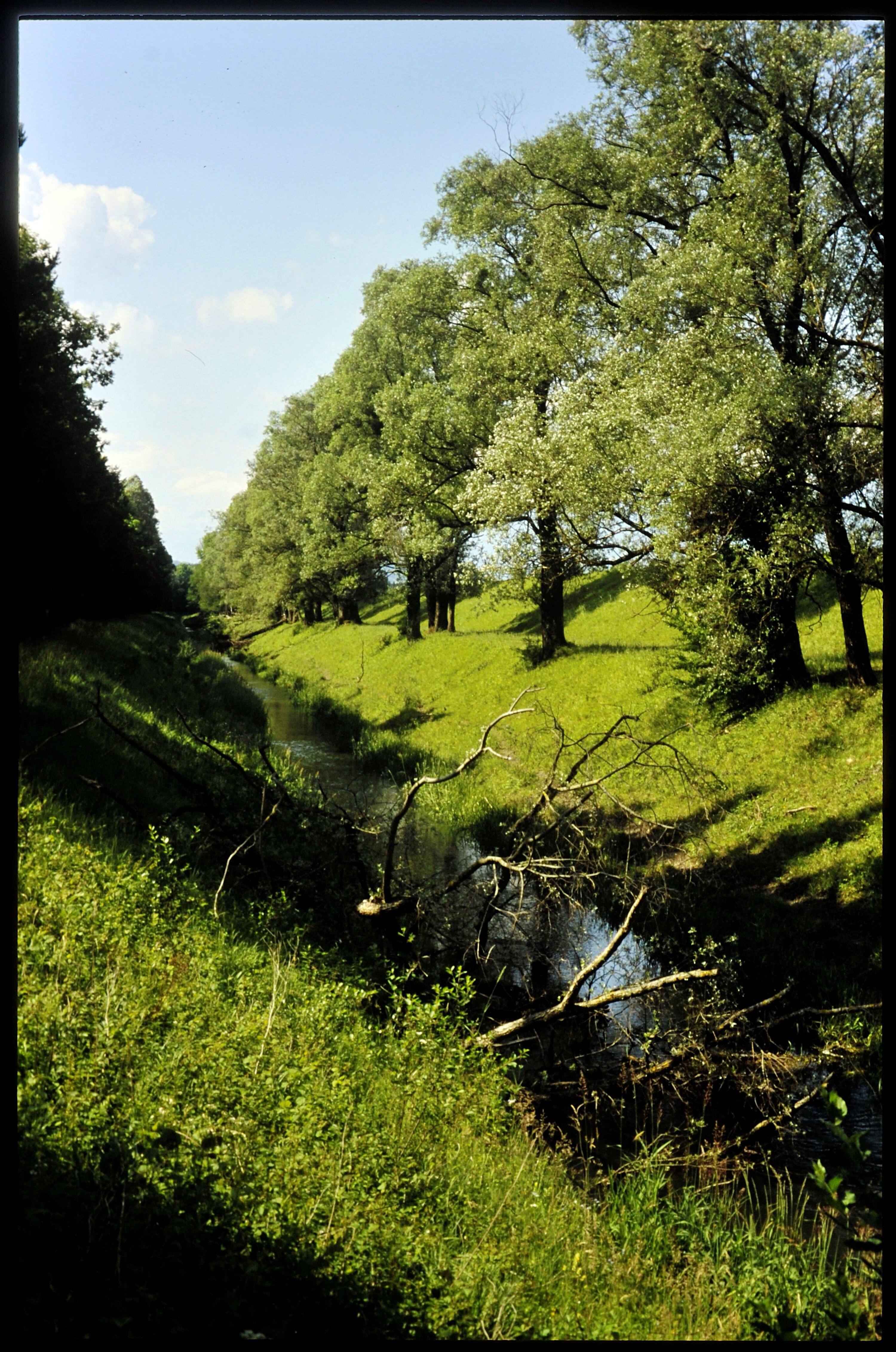 [Feldkirch, Spiersbach bei Bangs]></div>


    <hr>
    <div class=