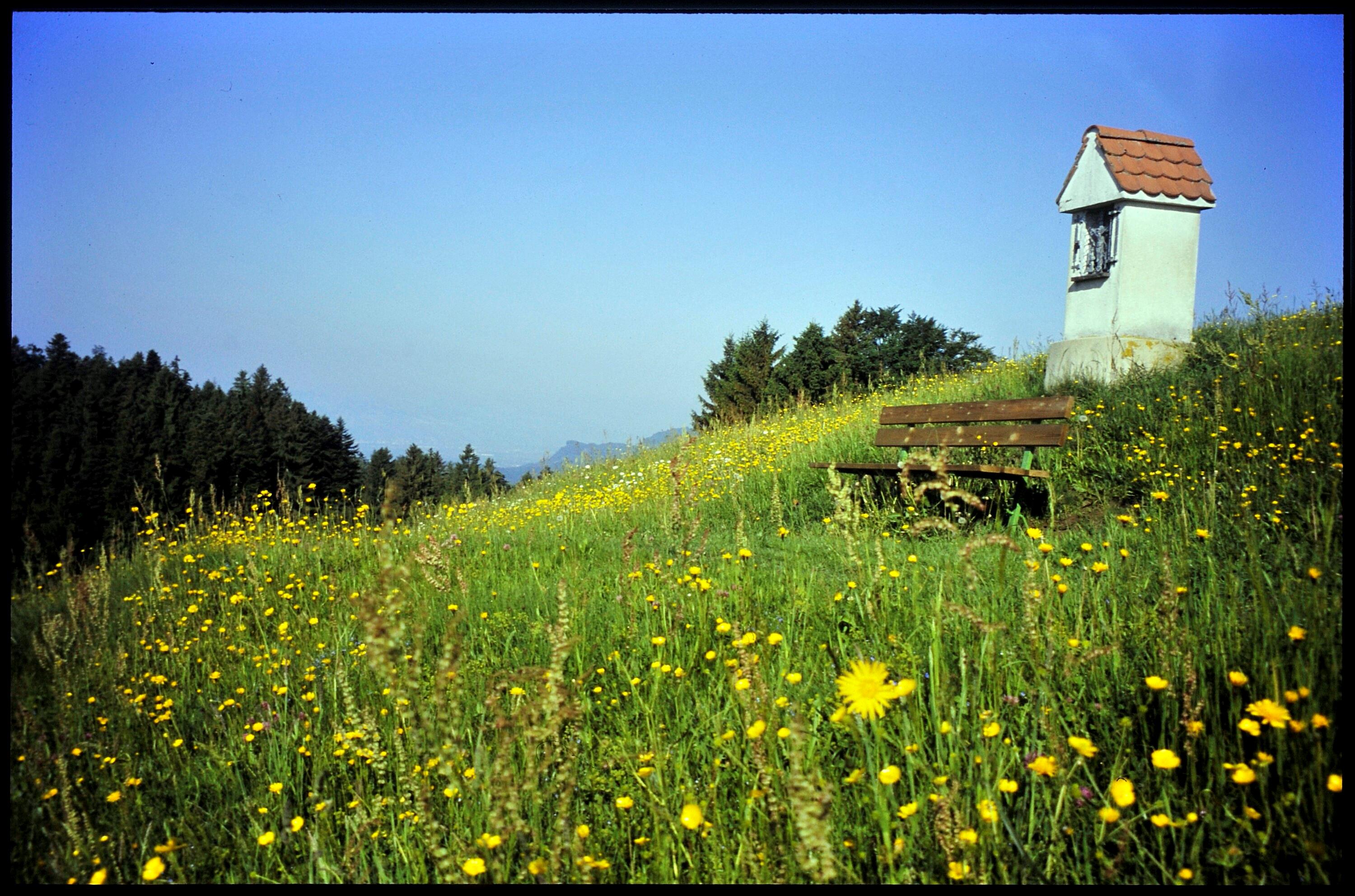 [Doren, zwischen Hochstadel und Sulzberg]></div>


    <hr>
    <div class=