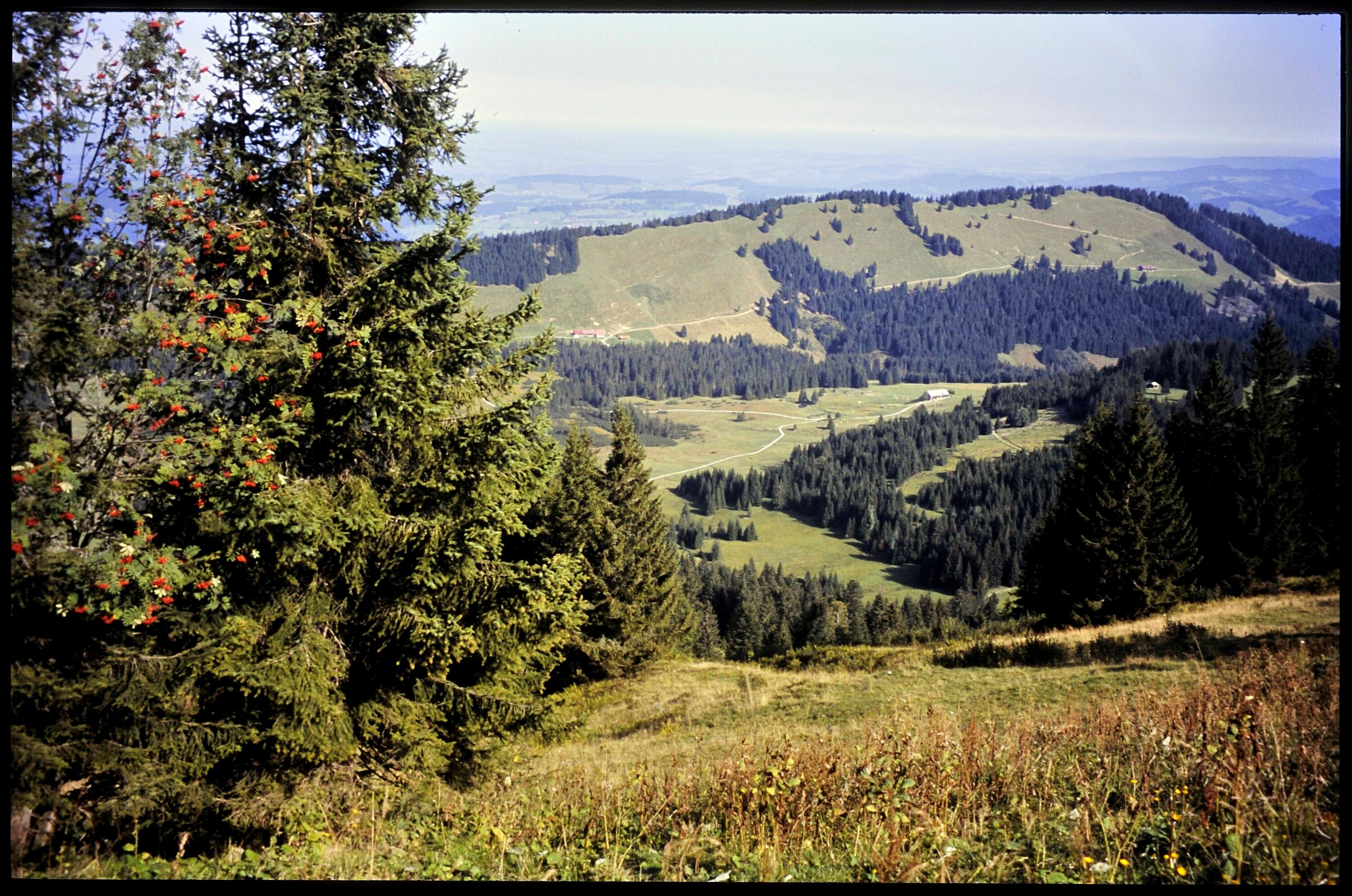 [Hittisau, Blick vom Hochhäderich zur Kojenfluh]></div>


    <hr>
    <div class=