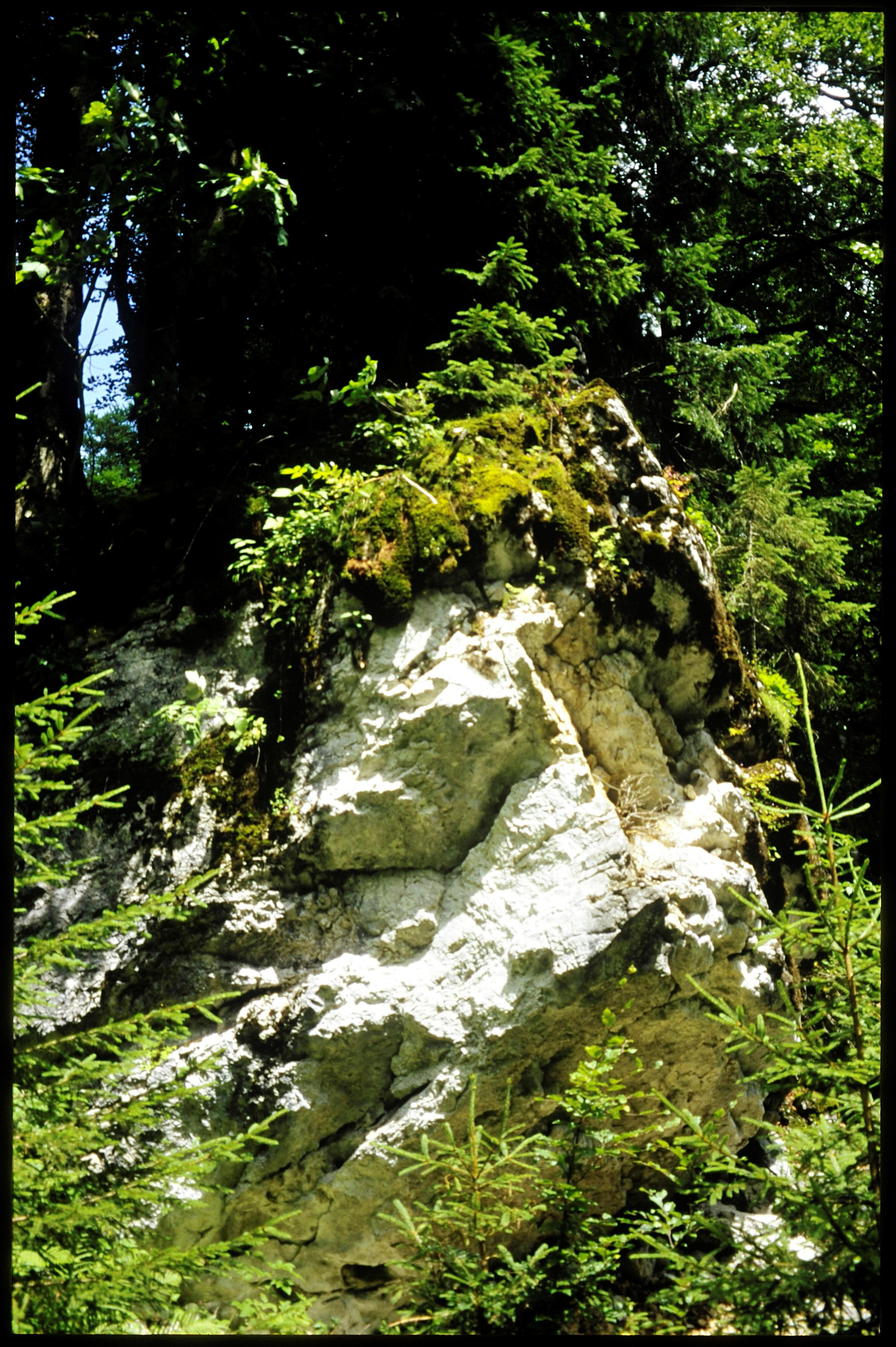 [Egg, Bergsturzblock westl. Ob. Auenalpe]></div>


    <hr>
    <div class=