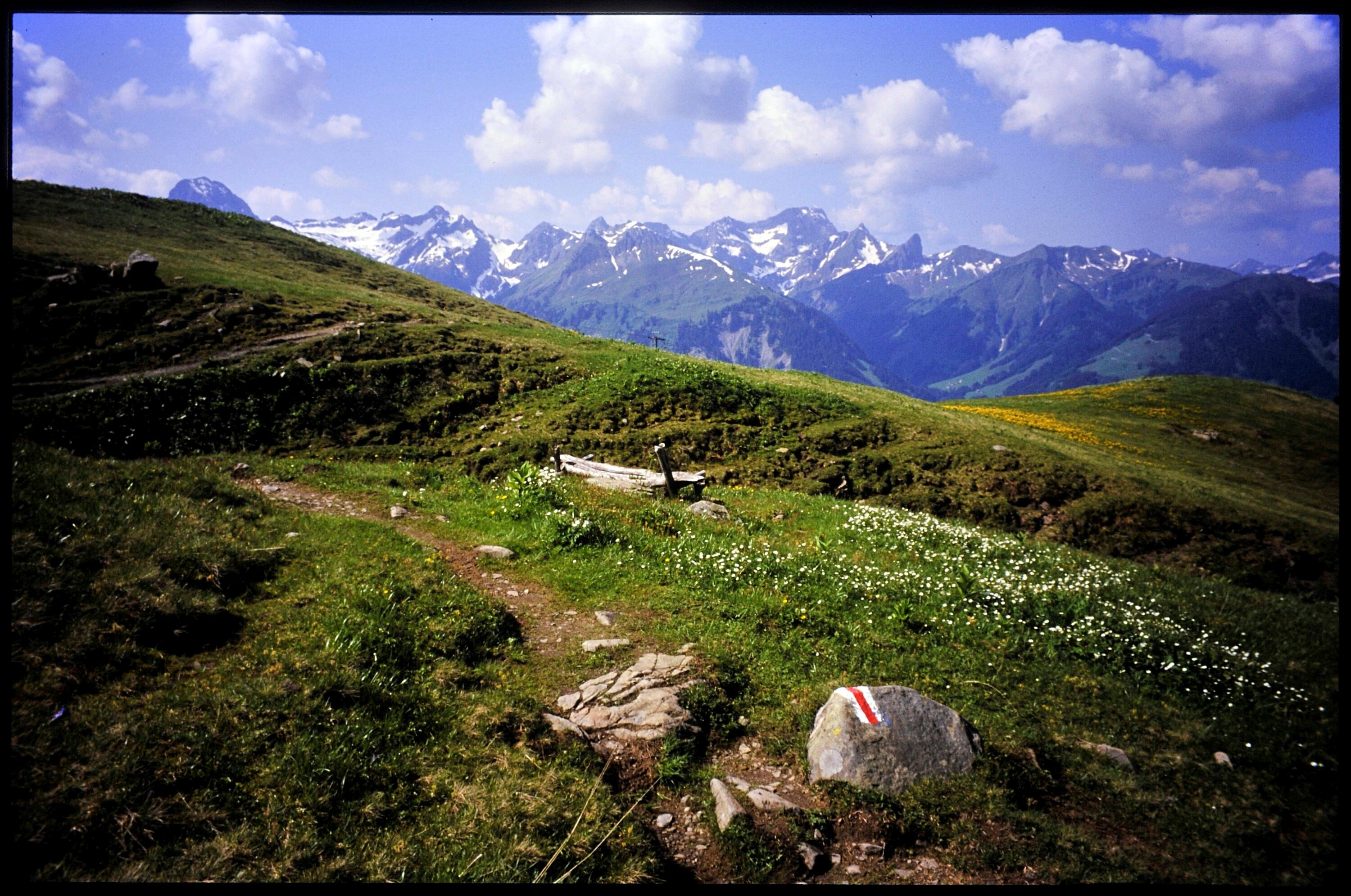 [Schoppernau, Blick von Breitenalpe]></div>


    <hr>
    <div class=