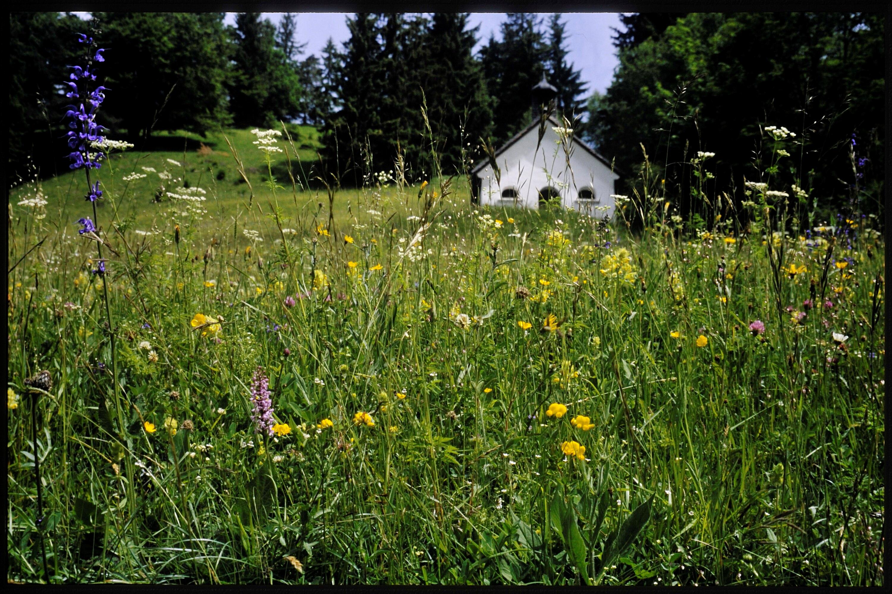 [Bartholomäberg, Kapelle Valleu]></div>


    <hr>
    <div class=