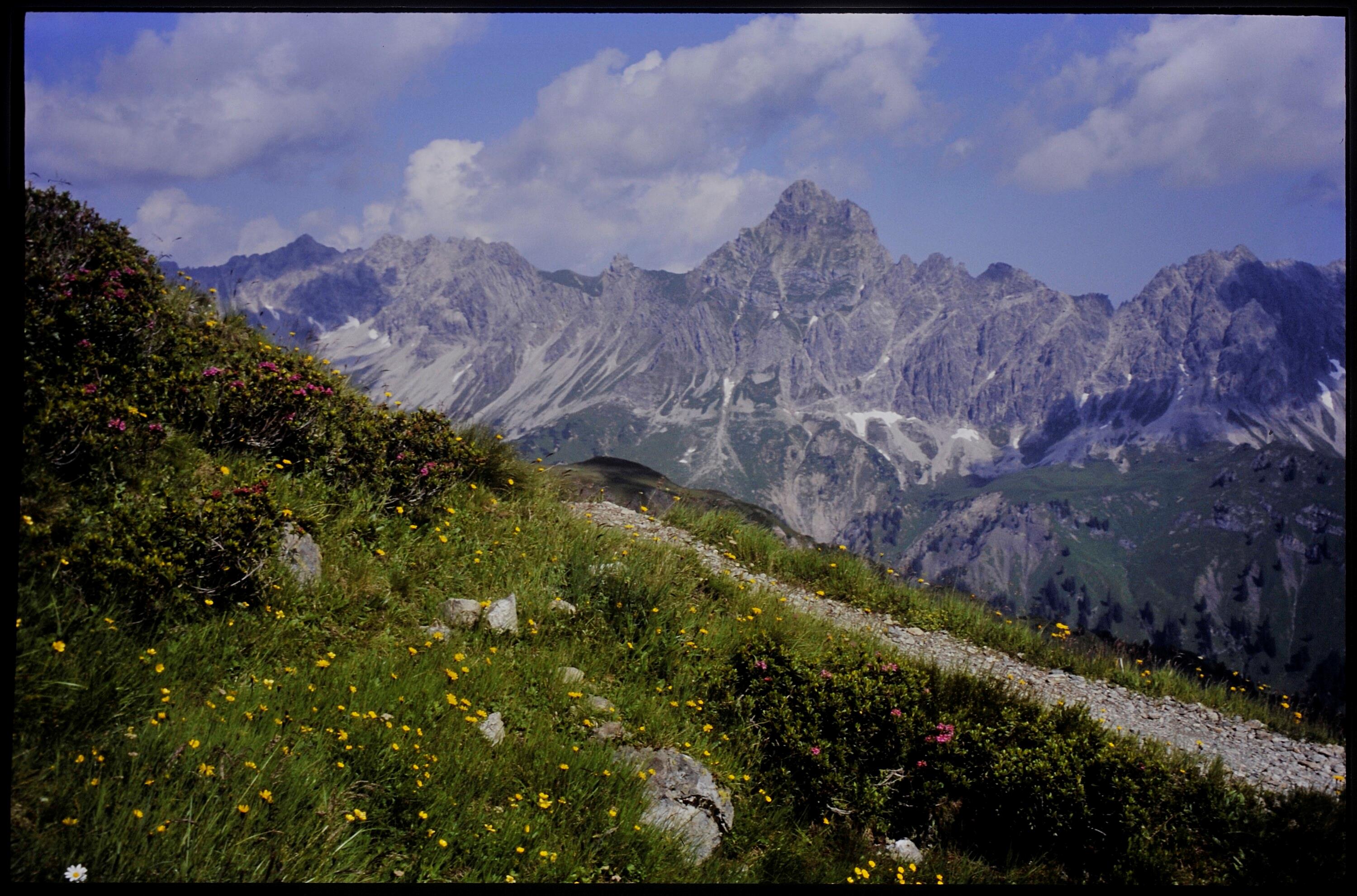 [Tschagguns, Golmer-Höhenweg mit Zimba]></div>


    <hr>
    <div class=