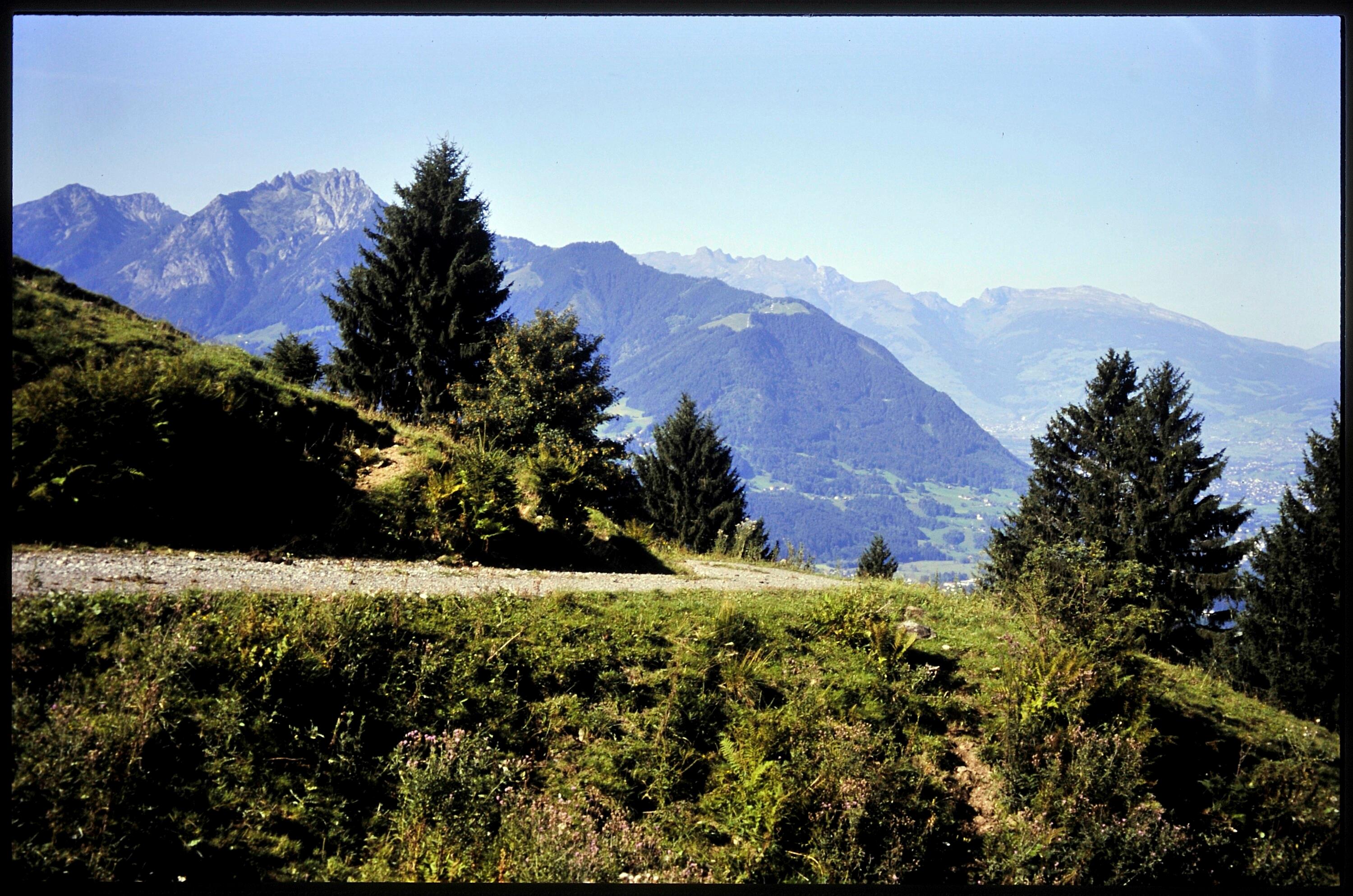 [Satteins, Alpweg oberhalb Gulmalp]></div>


    <hr>
    <div class=