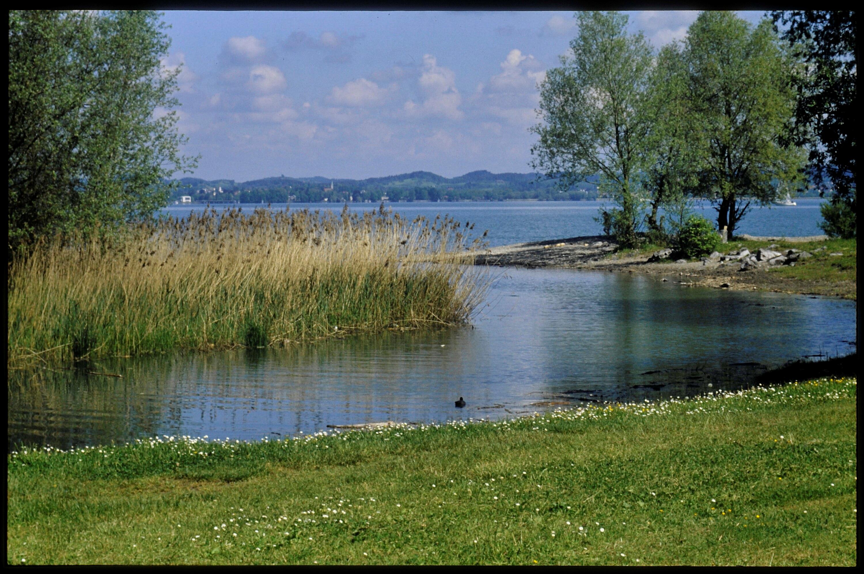 [Bregenz, Mehrerauer Ufer]></div>


    <hr>
    <div class=