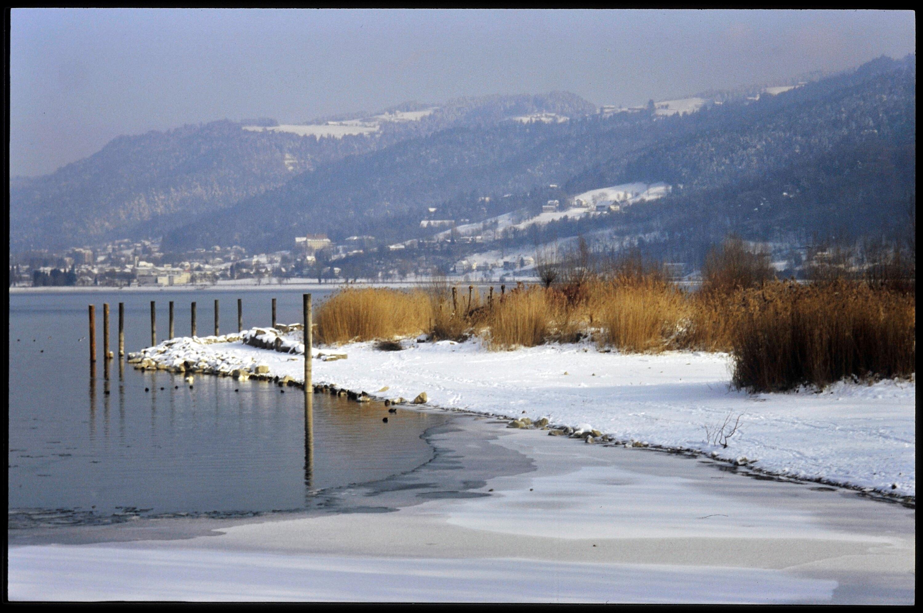 [Bregenz, Ufer bei Sporthafen]></div>


    <hr>
    <div class=