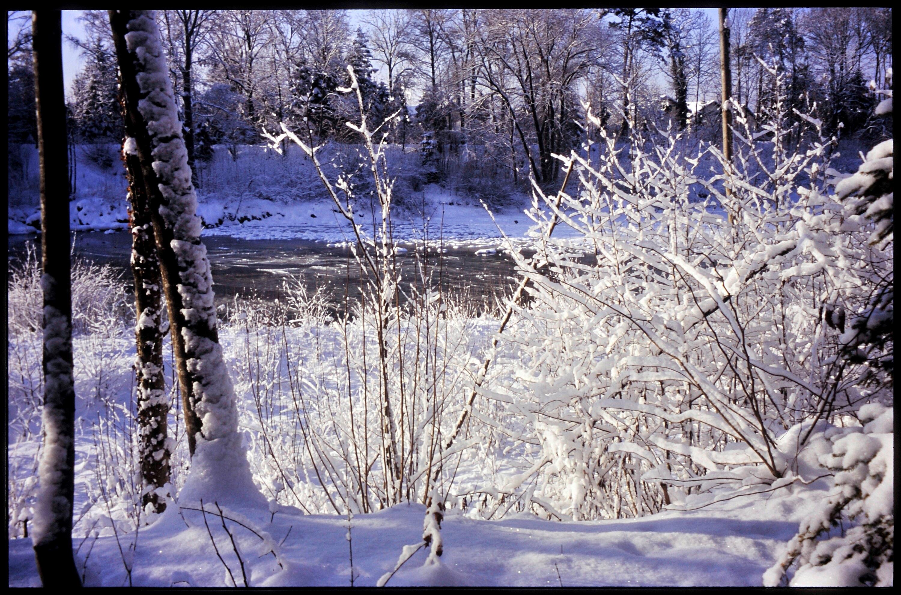 [Kennelbach, winterlicher Achdammweg]></div>


    <hr>
    <div class=