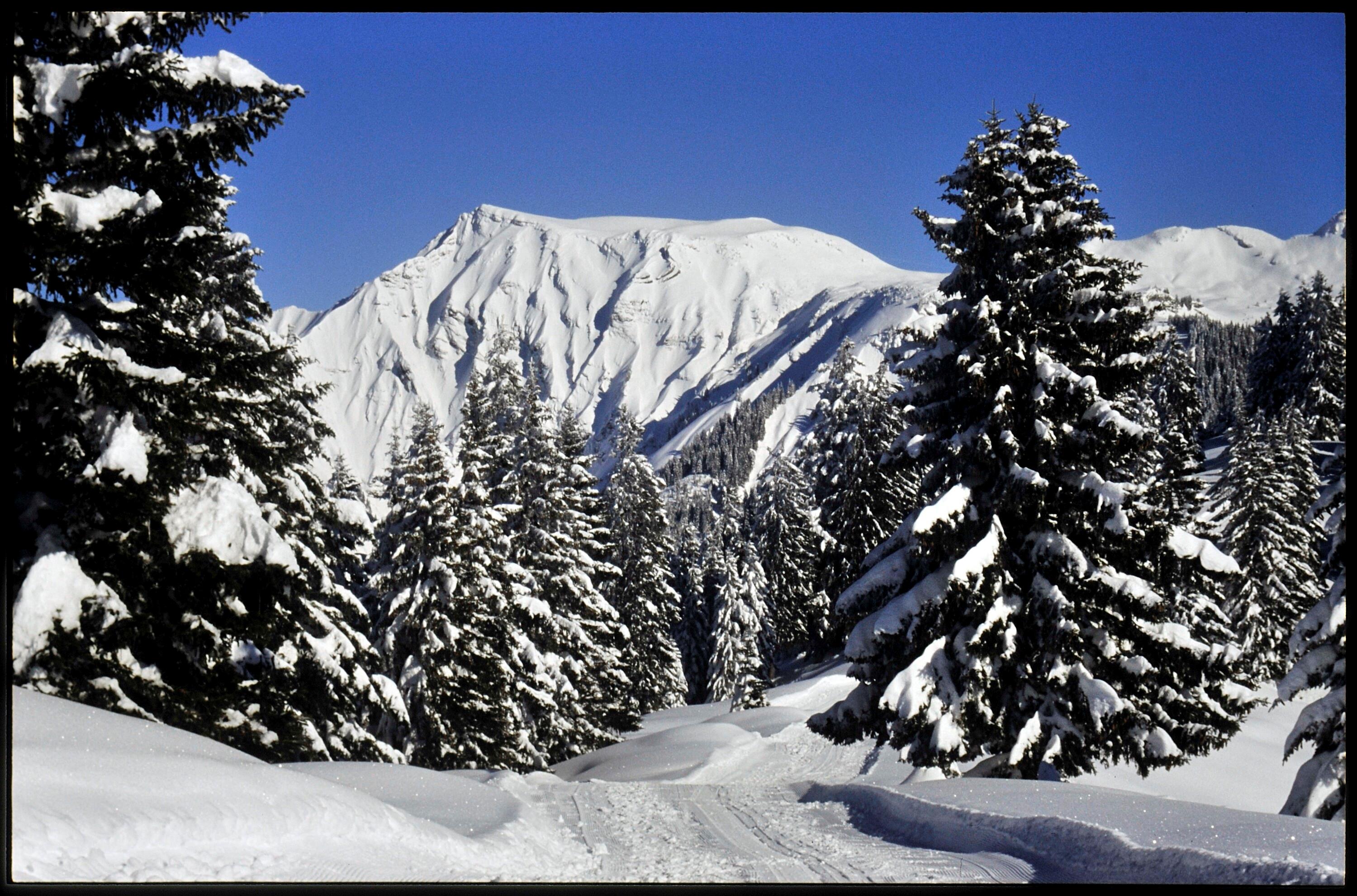 [Zwischenwasser, Winterweg Alpwegkopf]></div>


    <hr>
    <div class=