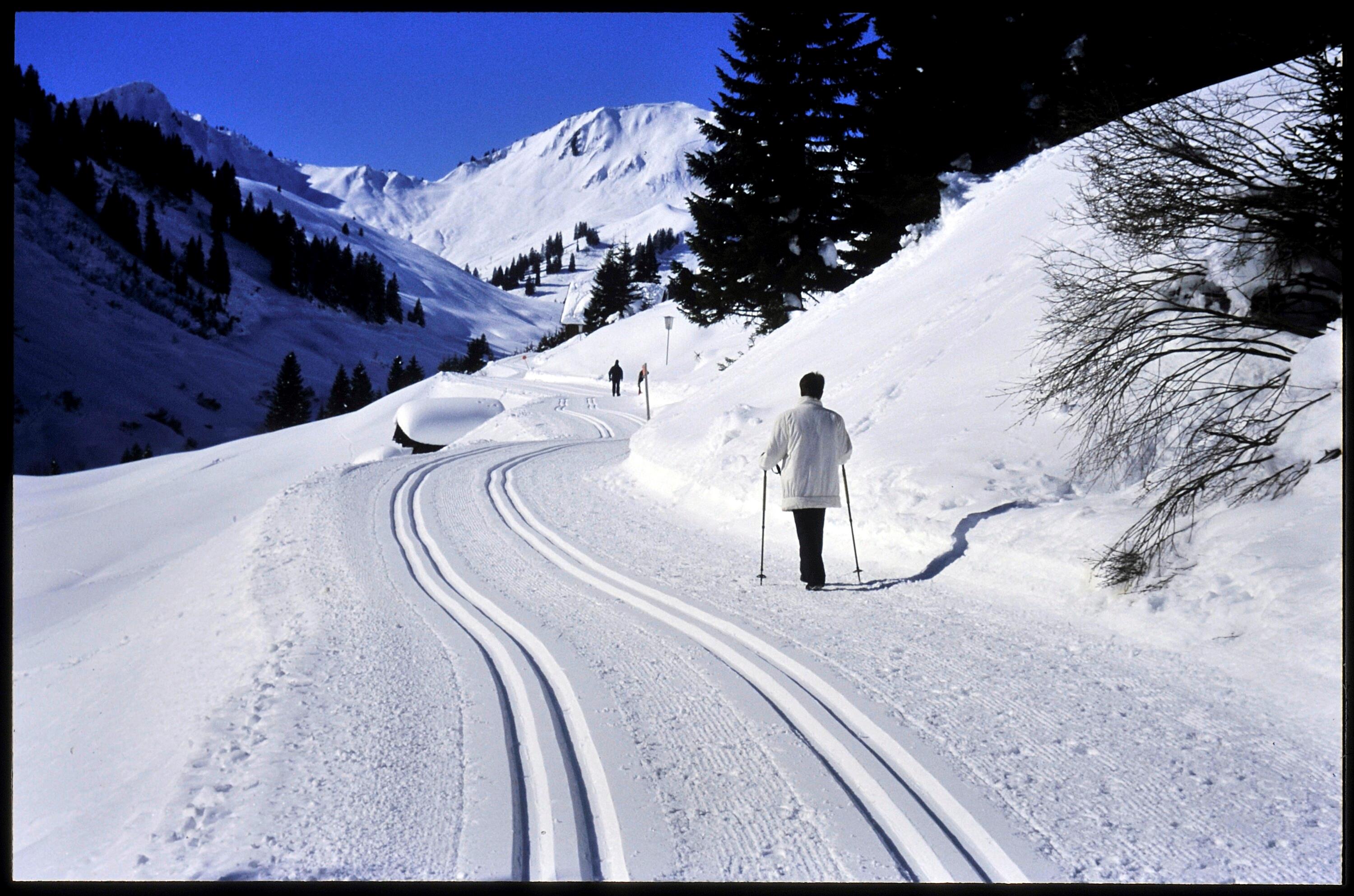 [Damüls, Winterweg Unterdamülser Alpe]></div>


    <hr>
    <div class=