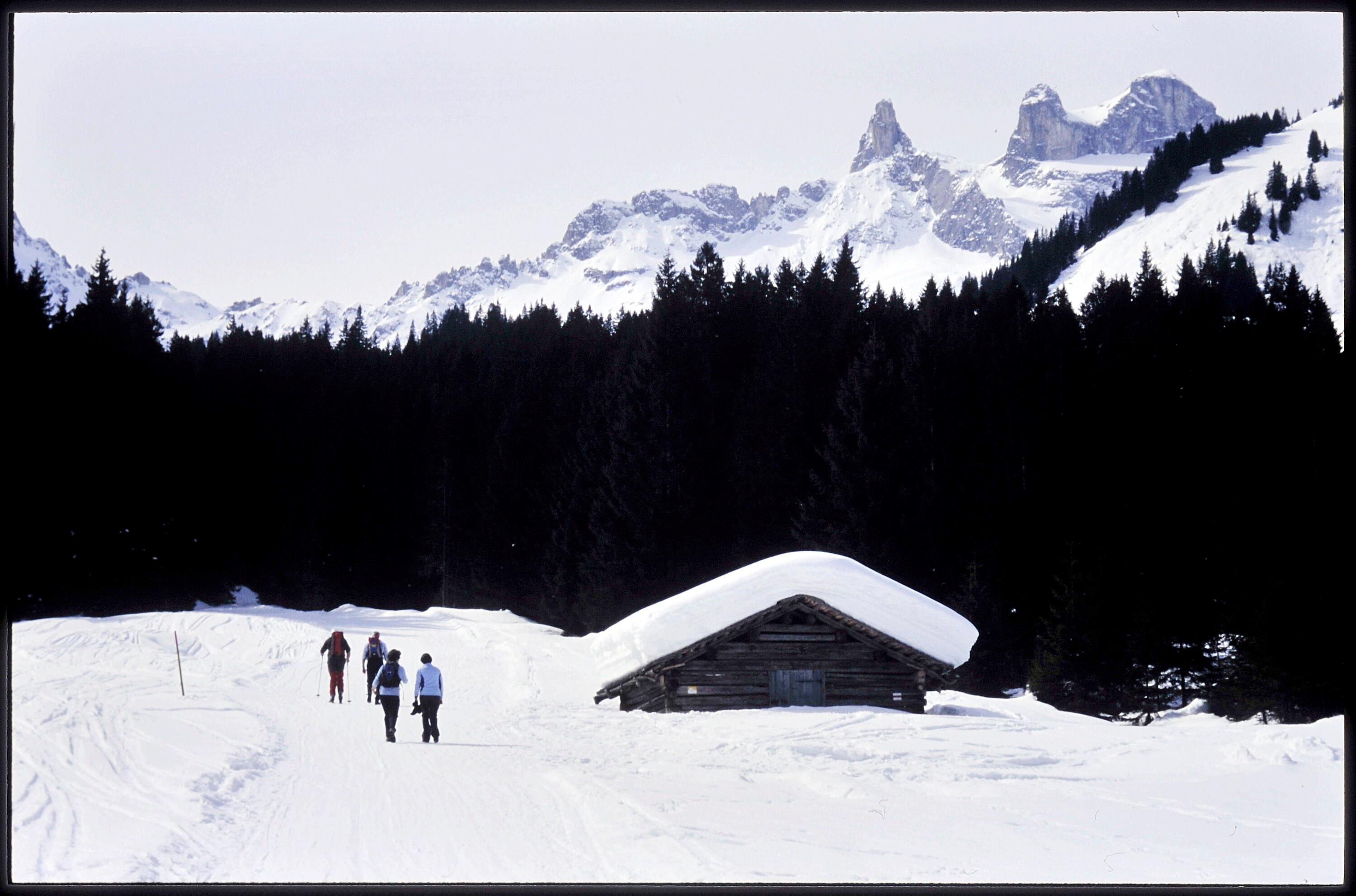 [Tschagguns, Winterweg Gauertal]></div>


    <hr>
    <div class=