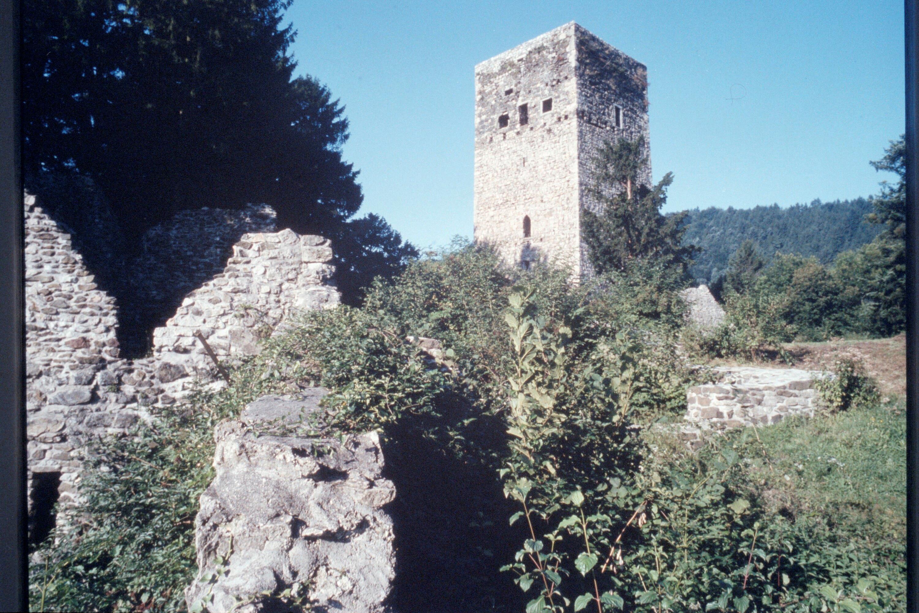 Feldkirch - Bildreihen, Textrepros></div>


    <hr>
    <div class=