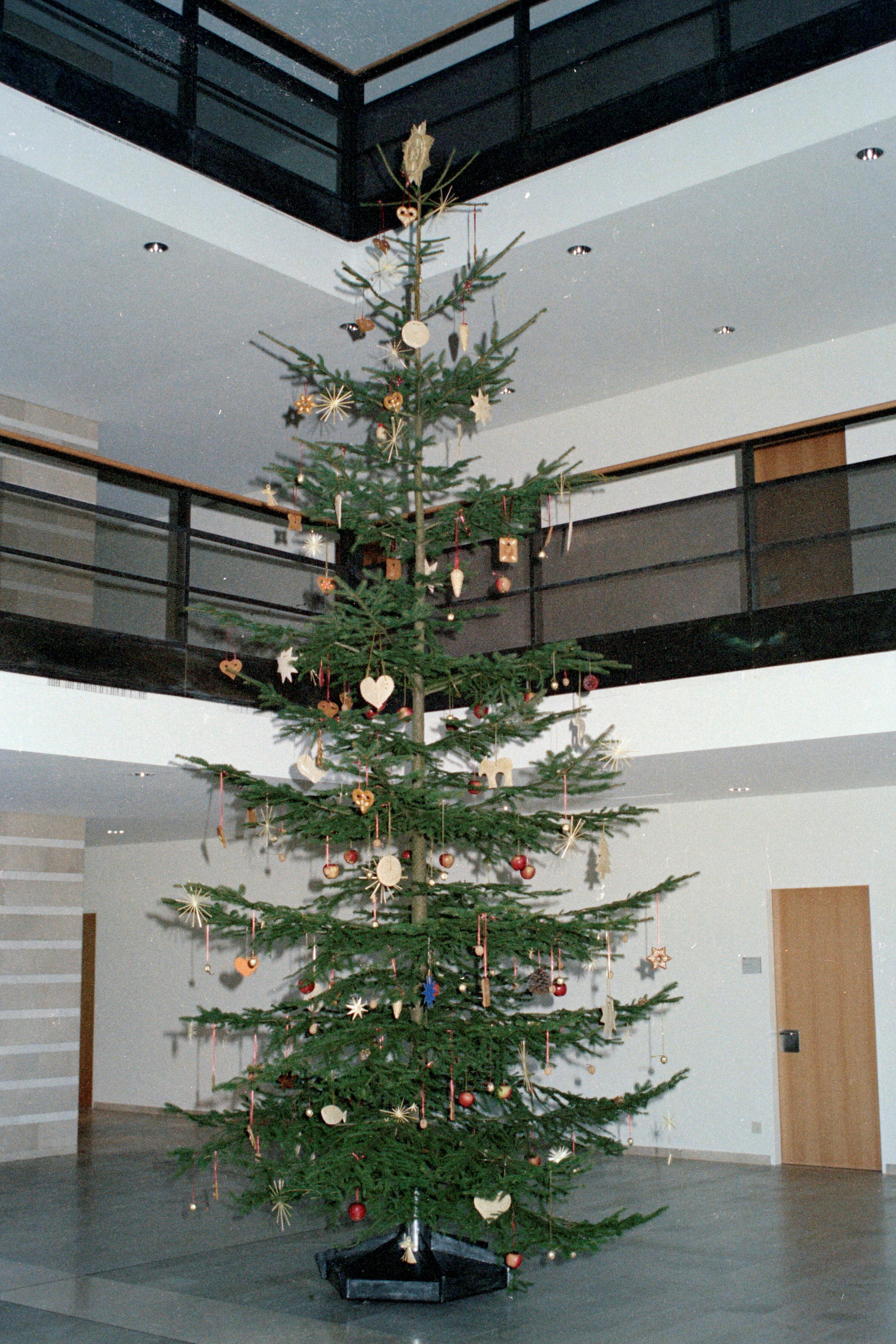 [Weihnachtsbaum Landhaus]></div>


    <hr>
    <div class=