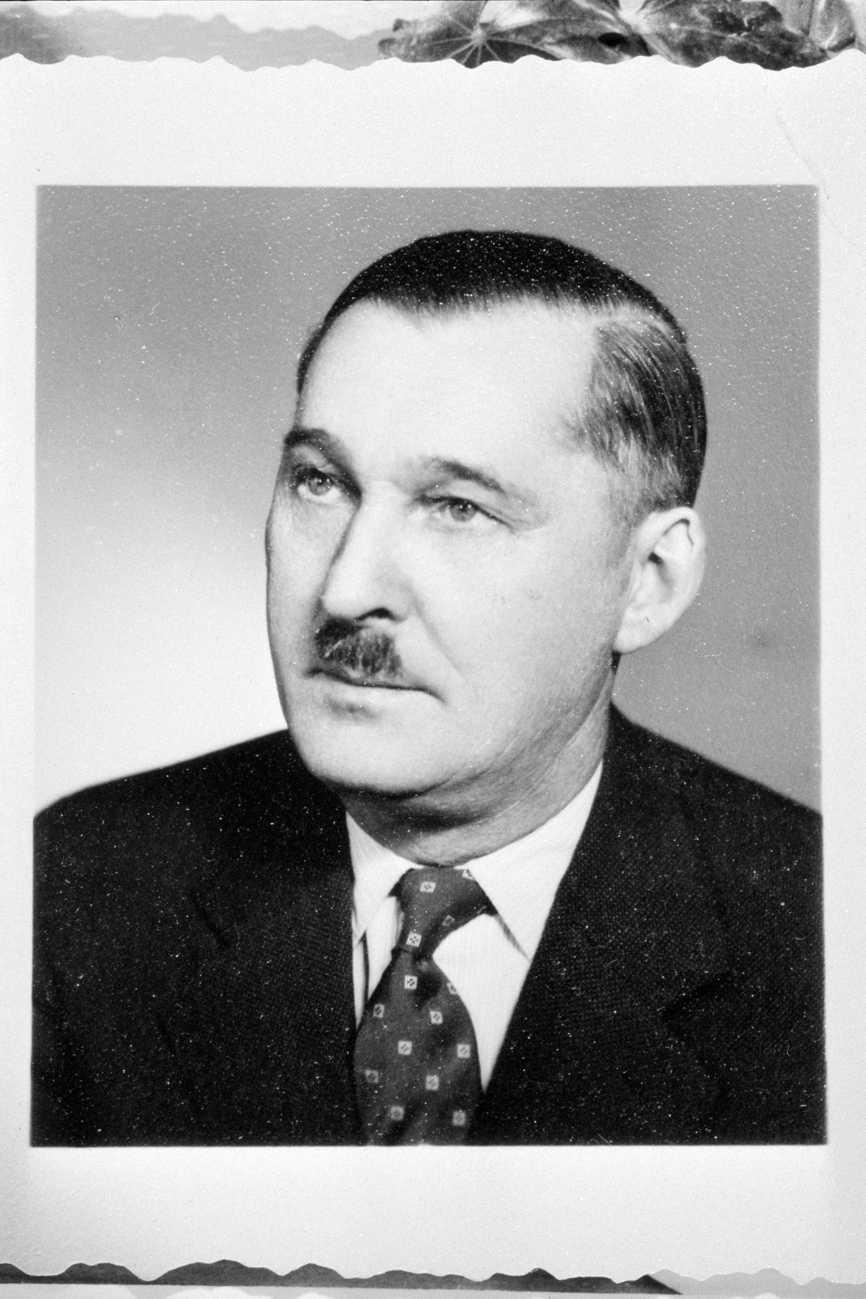 Nationalratsabgeordneter Herbert Lins></div>


    <hr>
    <div class=