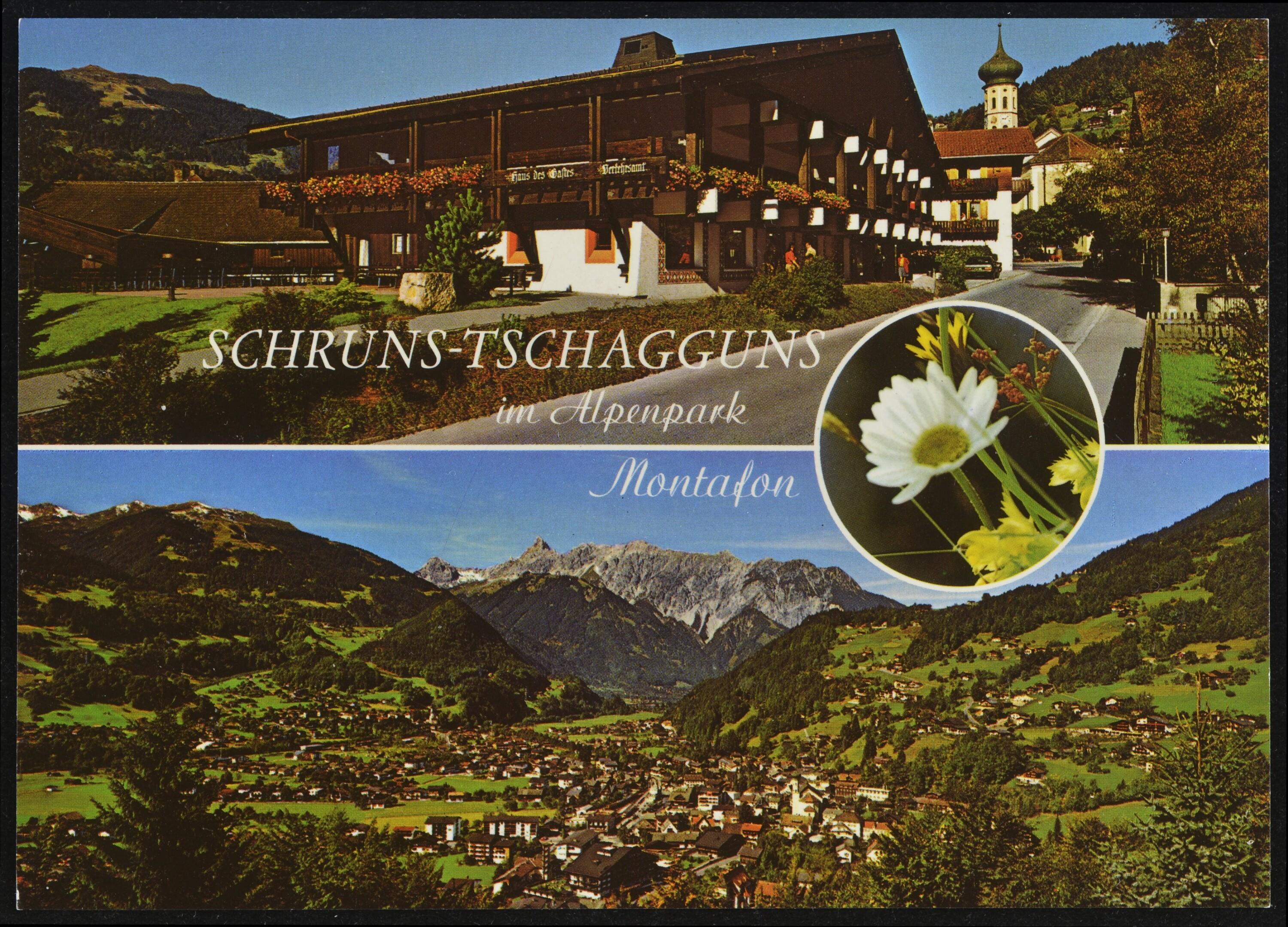 Schruns-Tschagguns im Alpenpark Montafon></div>


    <hr>
    <div class=