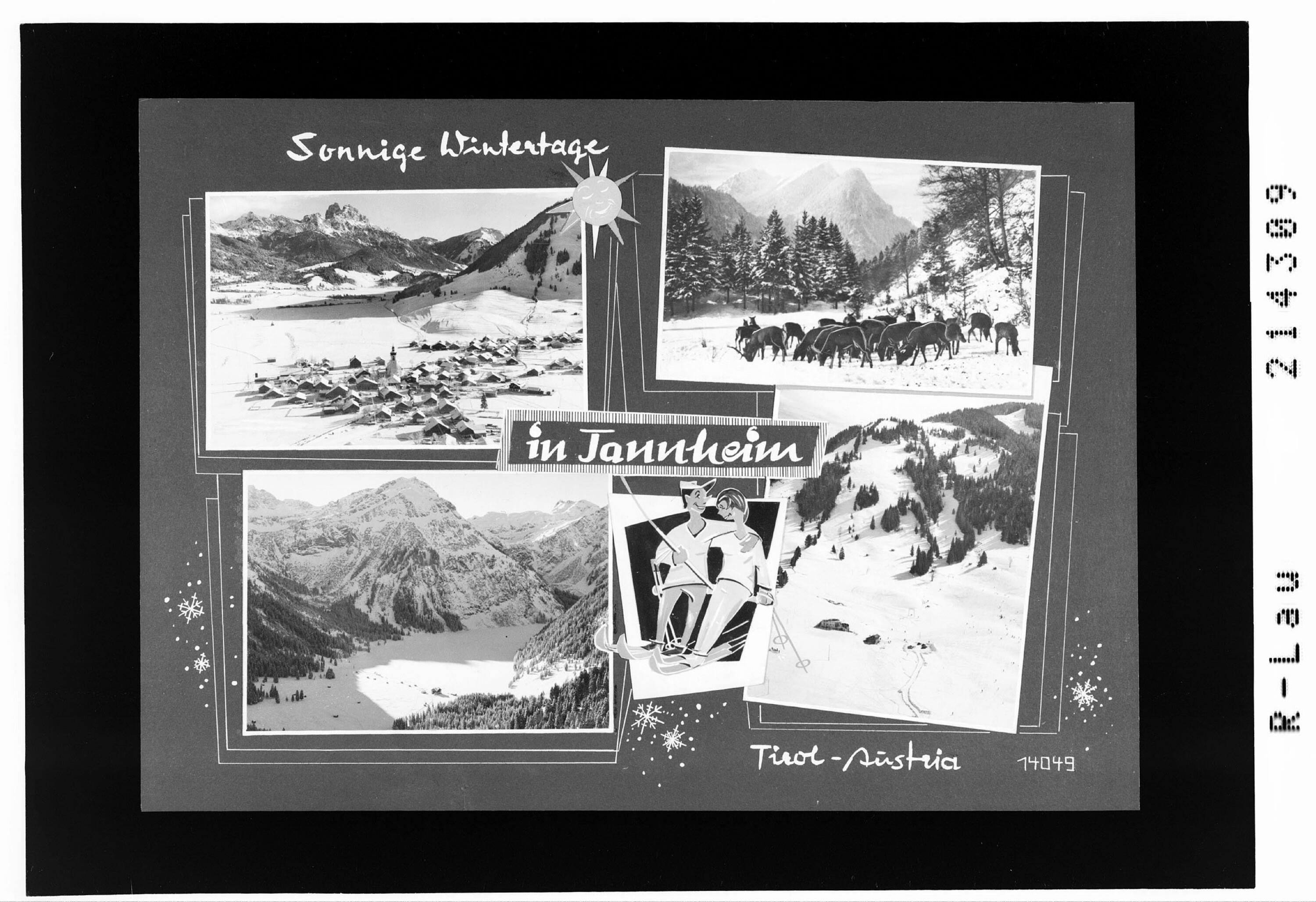 Sonnige Wintertage in Tannheim Tirol - Austria></div>


    <hr>
    <div class=