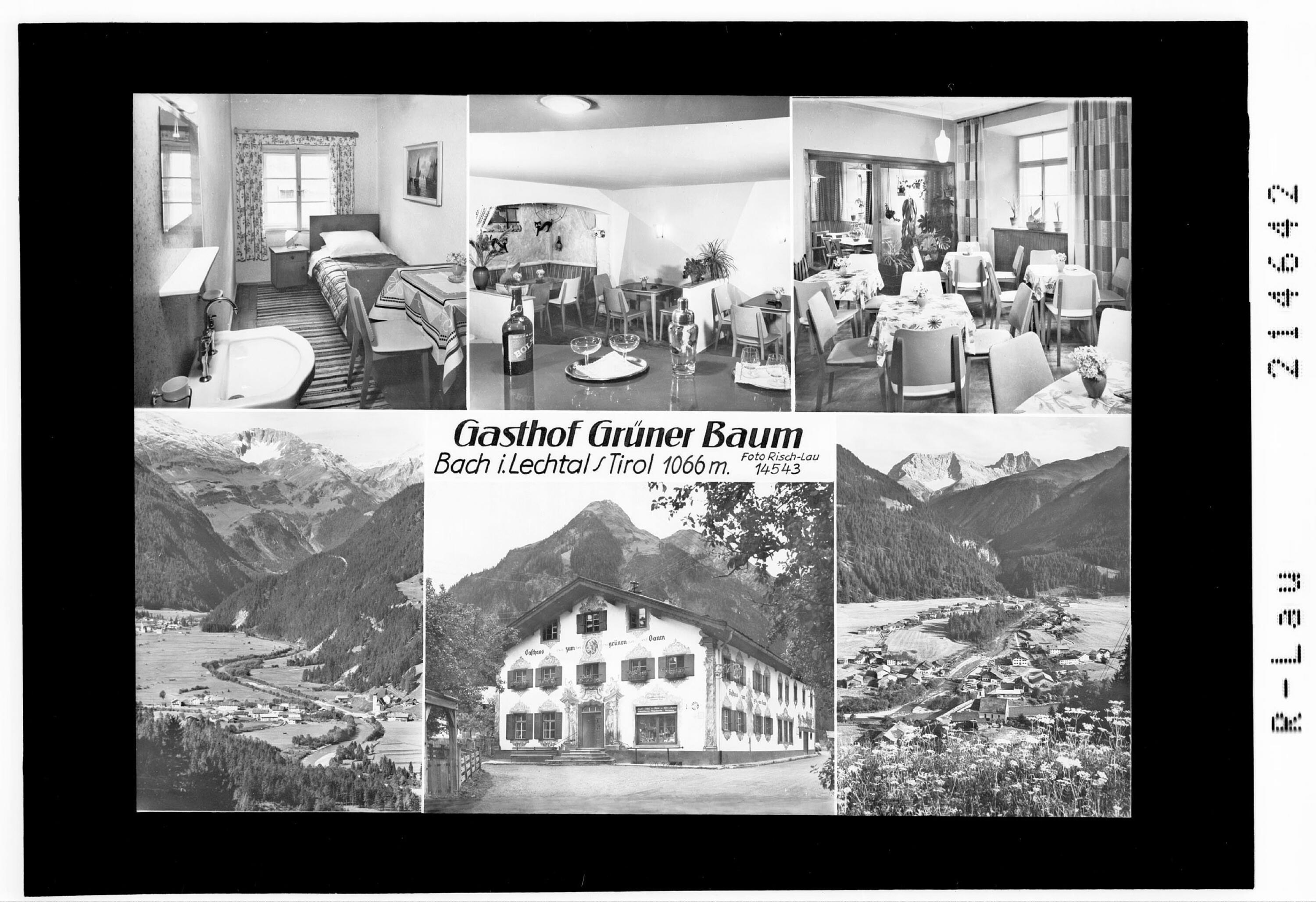 Gasthof Grüner Baum Bach im Lechtal / Tirol></div>


    <hr>
    <div class=