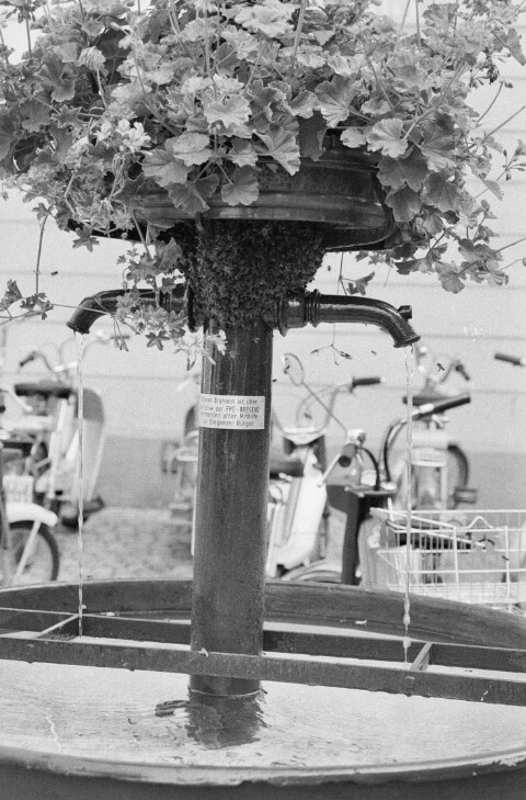 Bienennest beim Brunnen in der Kirchstraße / Rudolf Zündel von Zündel, Rudolf