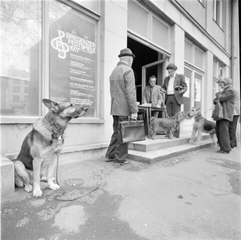 Hundemusterung / Rudolf Zündel von Zündel, Rudolf