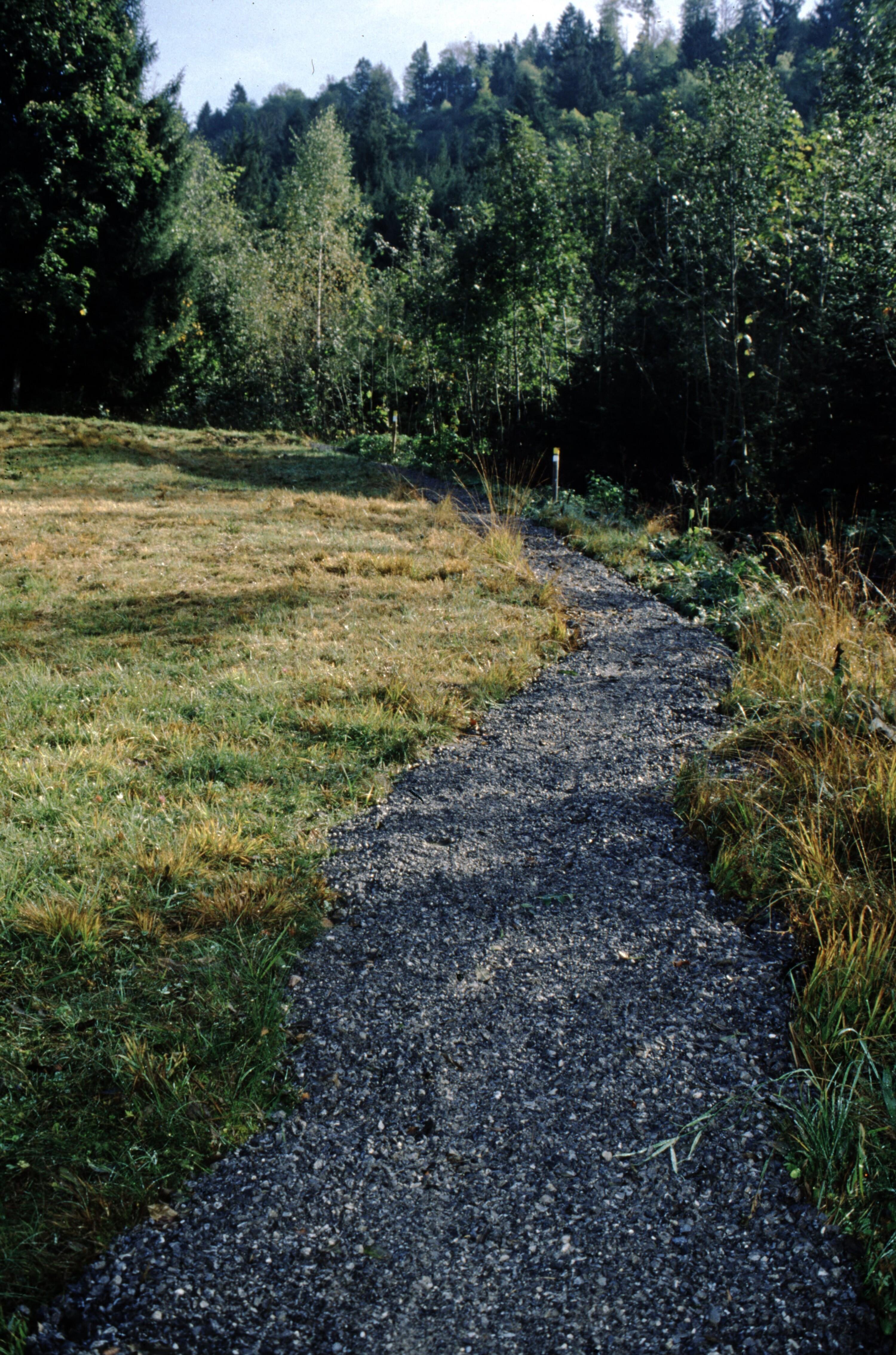 [Ludesch, neuer Weg am Hang]></div>


    <hr>
    <div class=